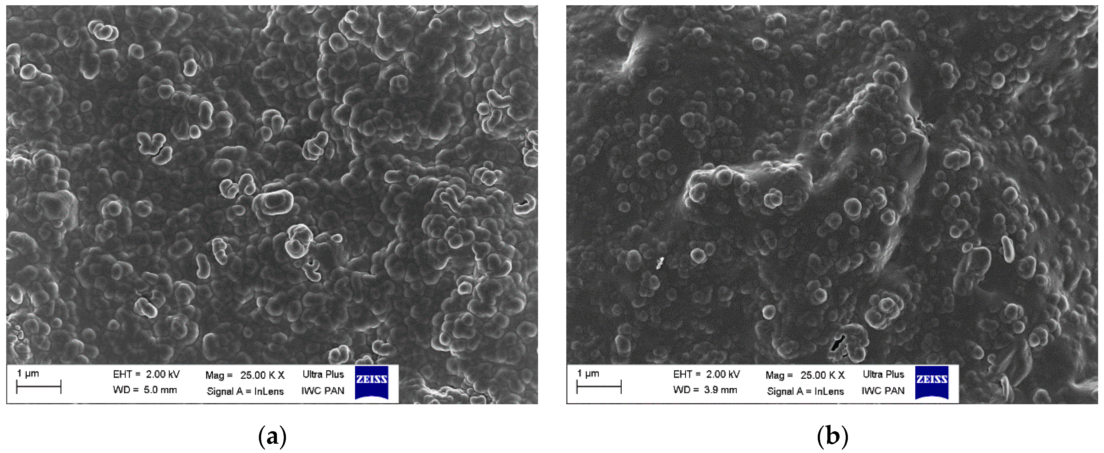 Polymers 12 01220 g010