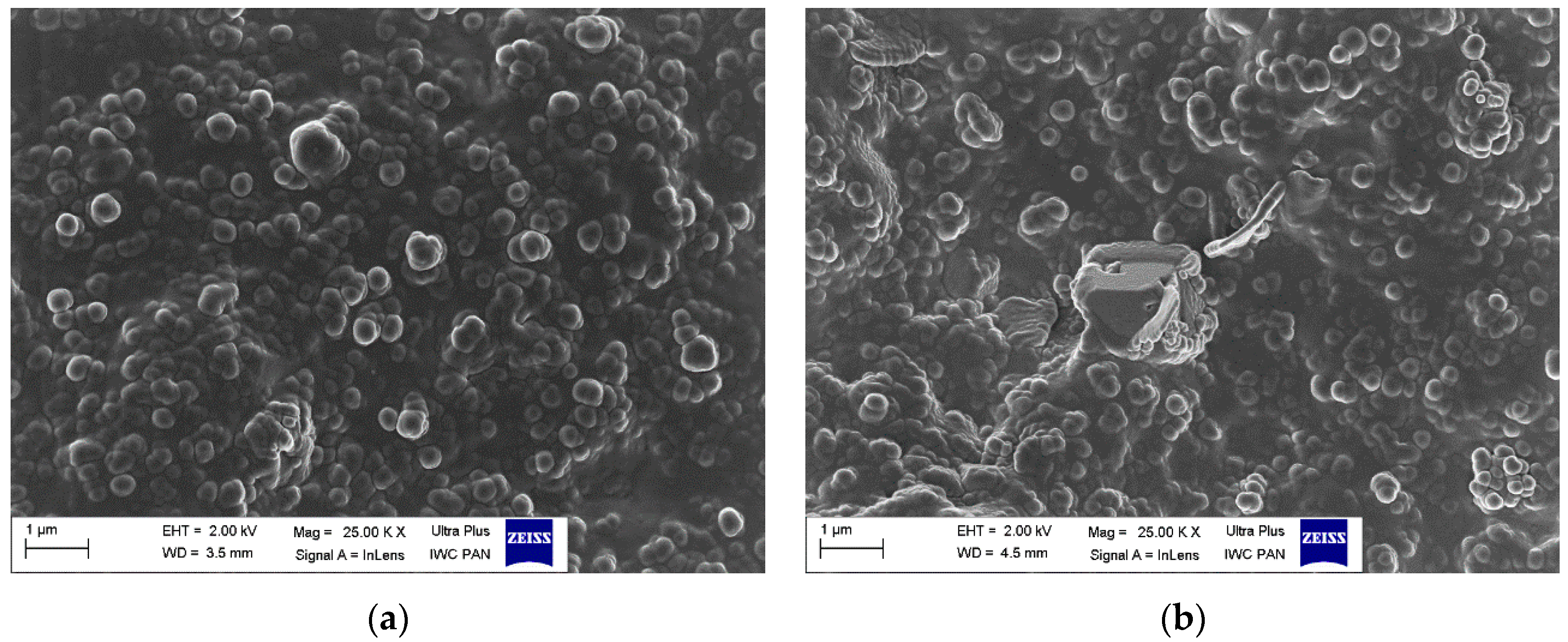 Polymers 12 01220 g011