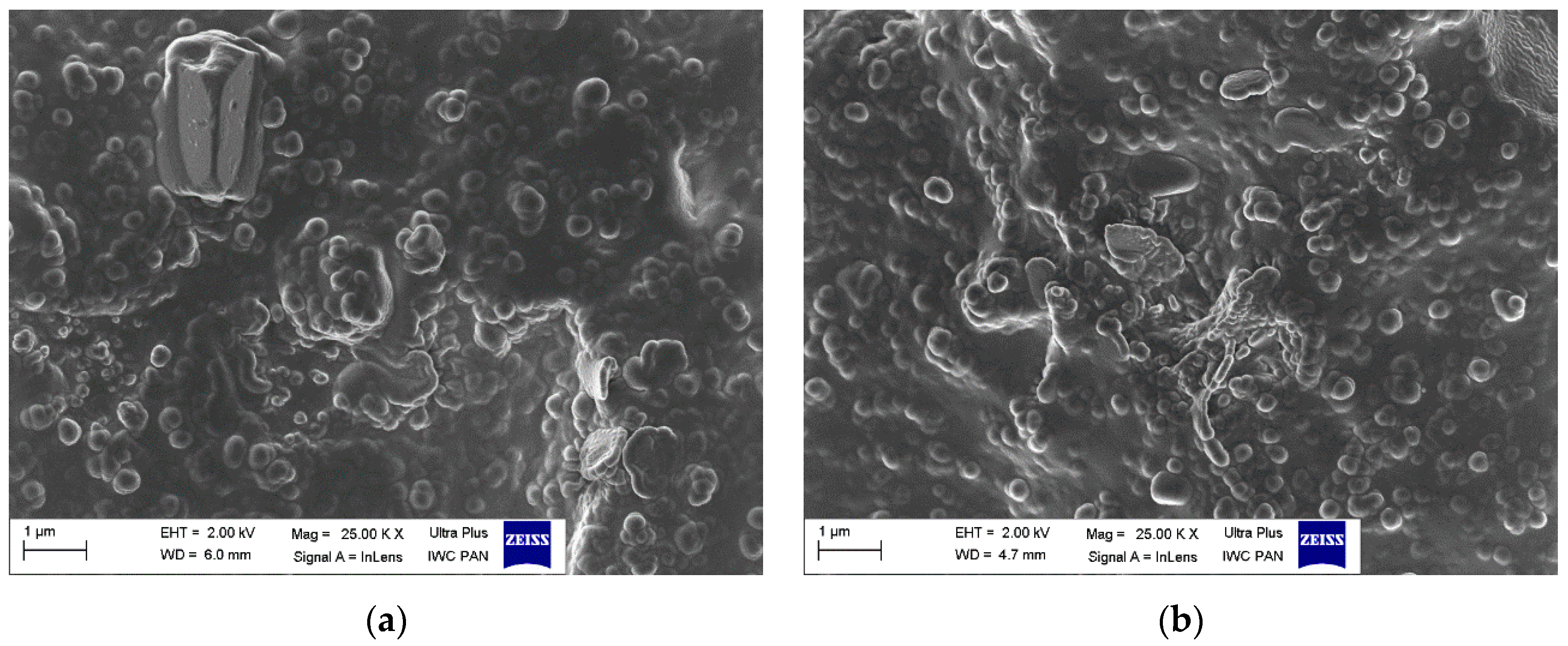 Polymers 12 01220 g012