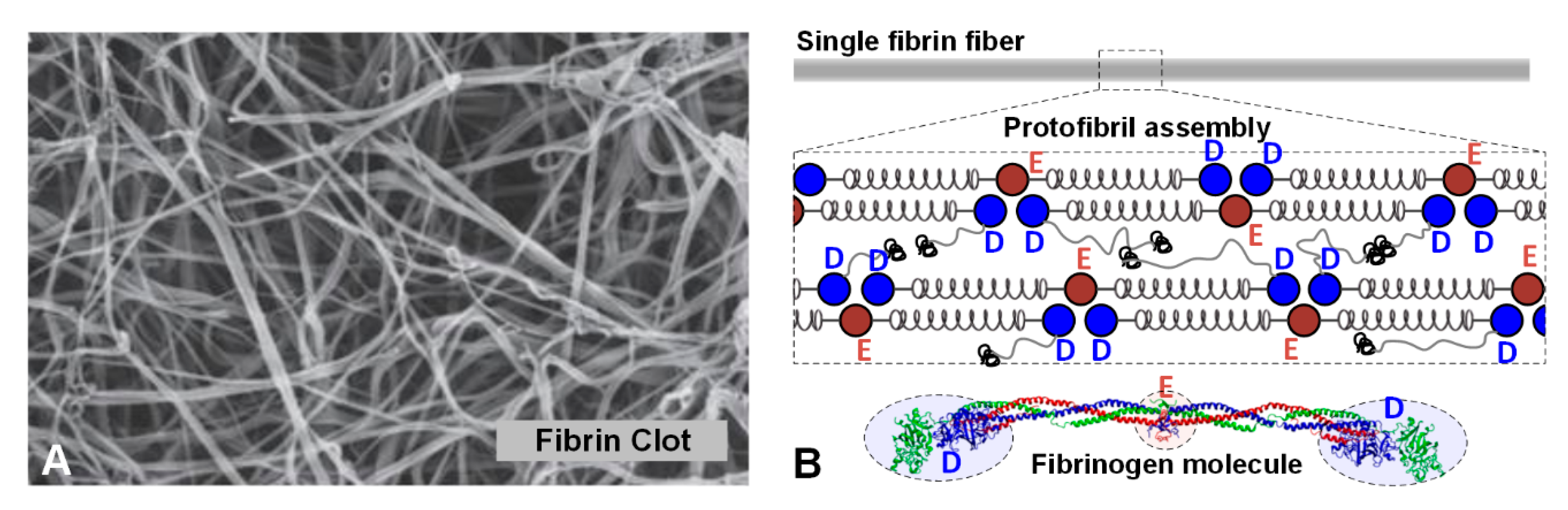 Polymers 12 01223 g001