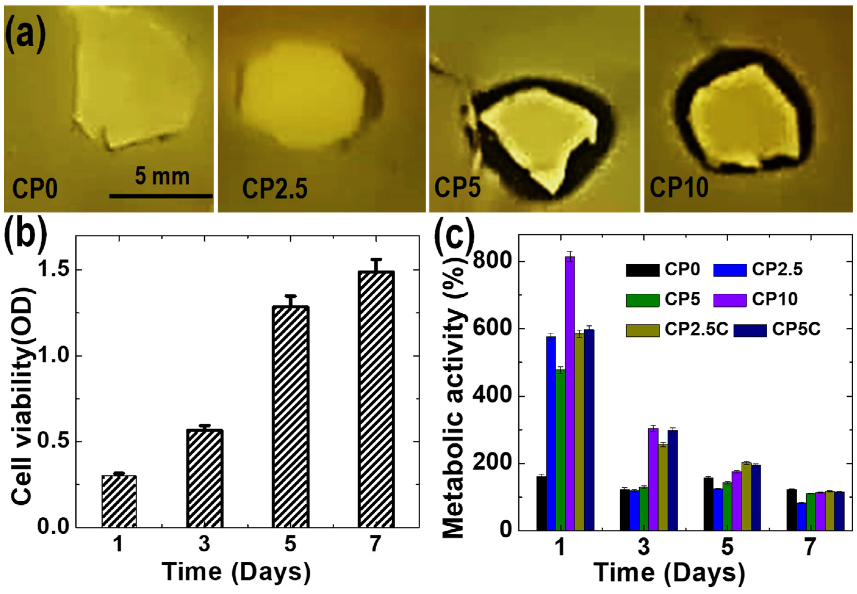 Polymers 12 01233 g005