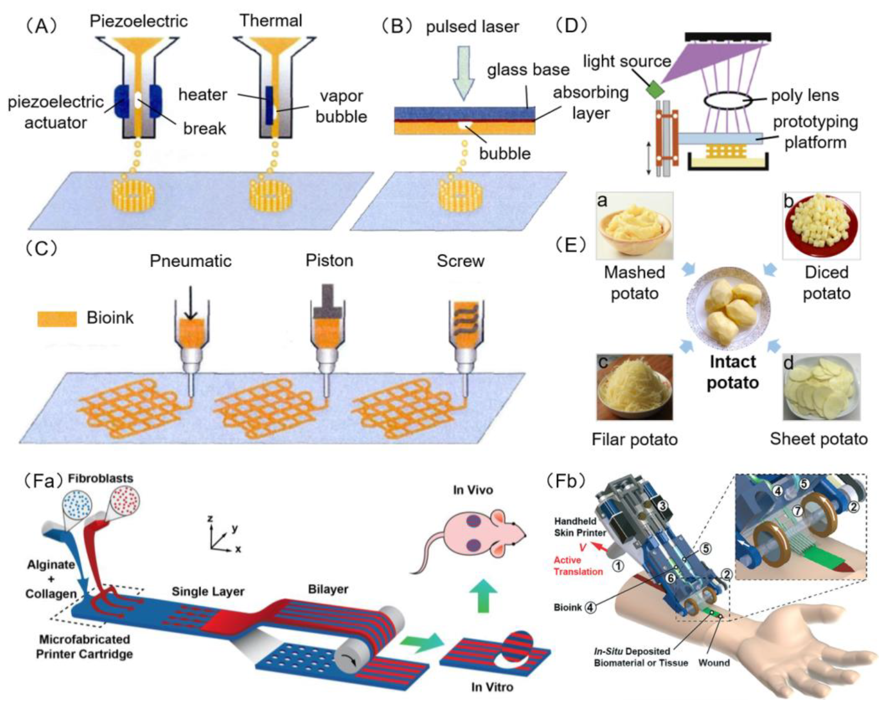 Polymers 12 01237 g003