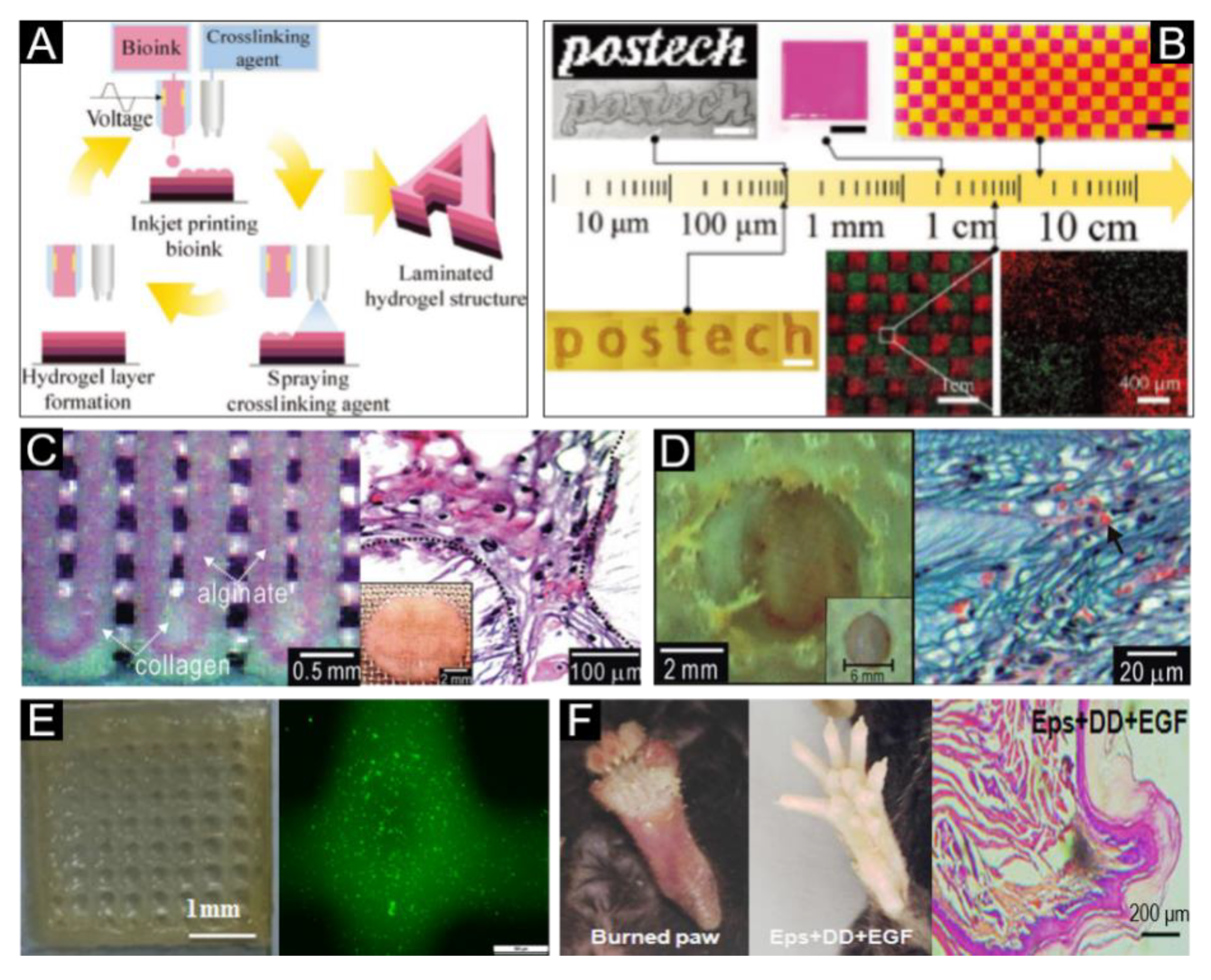 Polymers 12 01237 g005