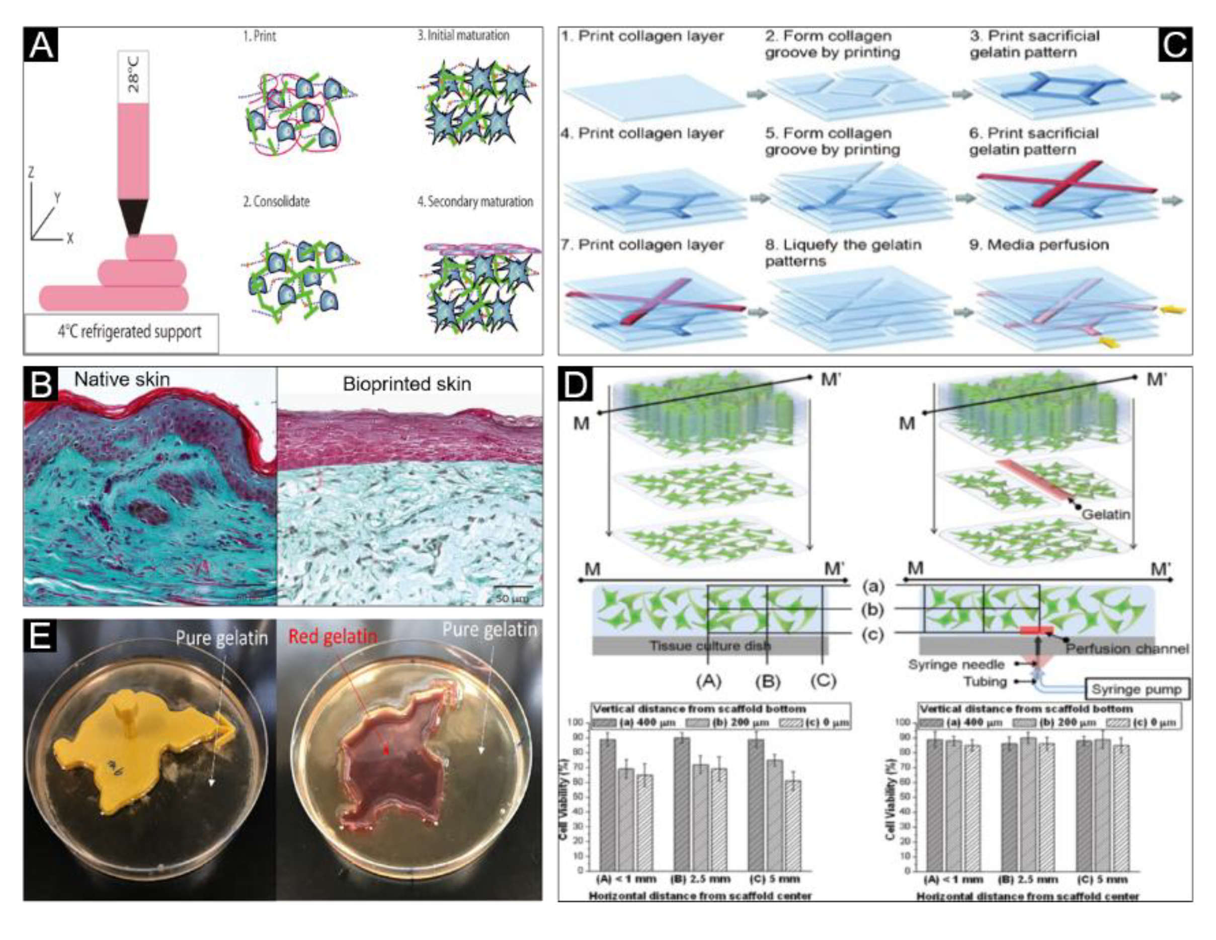 Polymers 12 01237 g006