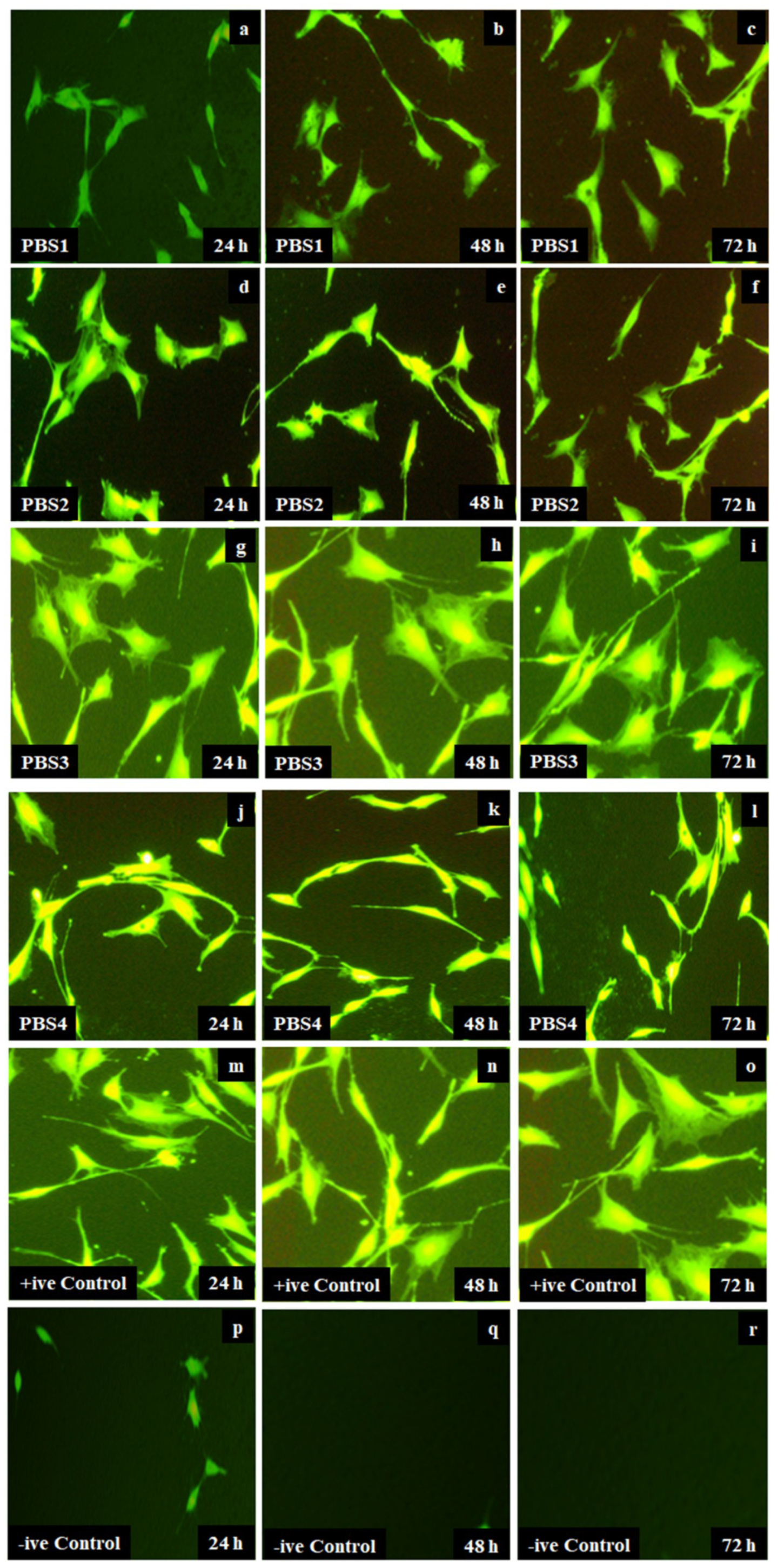 Polymers 12 01238 g008 Polymers 12 01238 g008