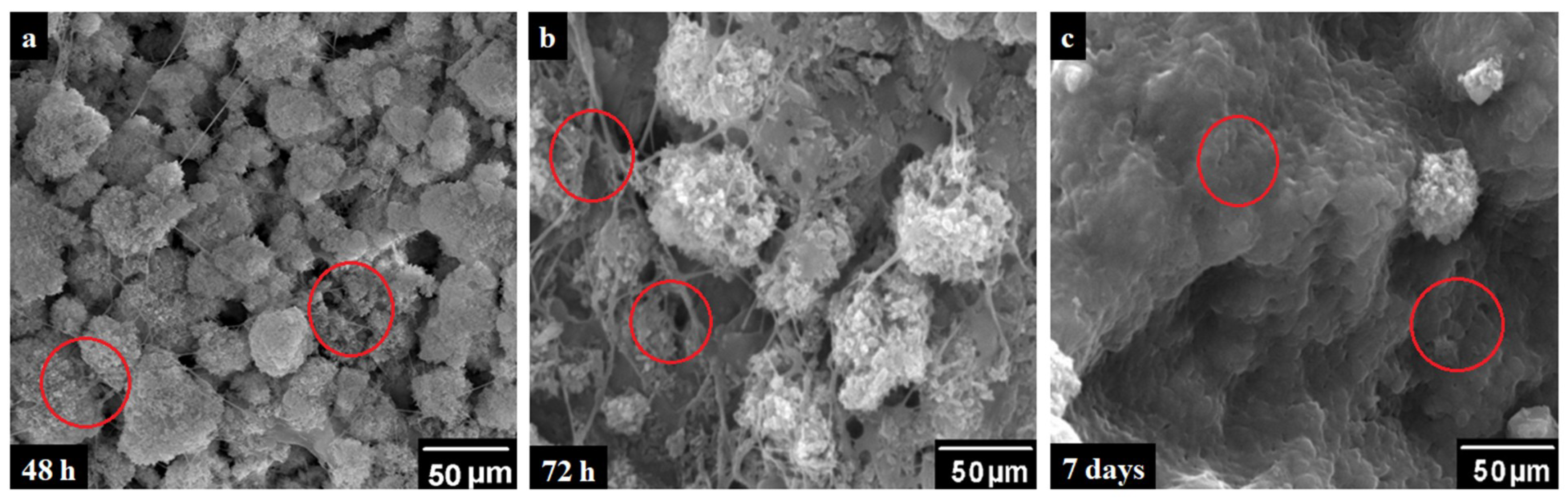 Polymers 12 01238 g010 Polymers 12 01238 g010