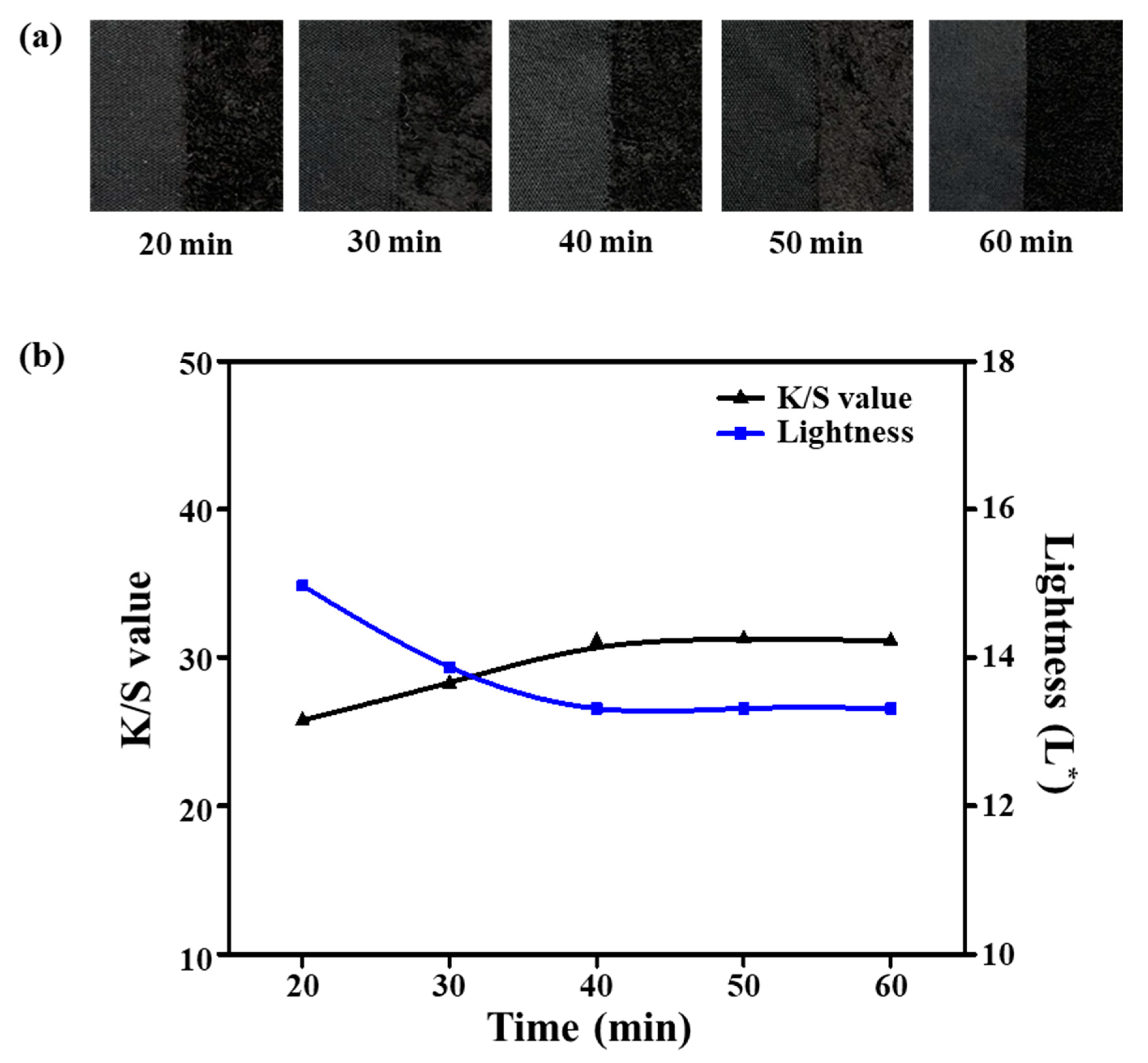 Polymers 12 01243 g005 Polymers 12 01243 g005