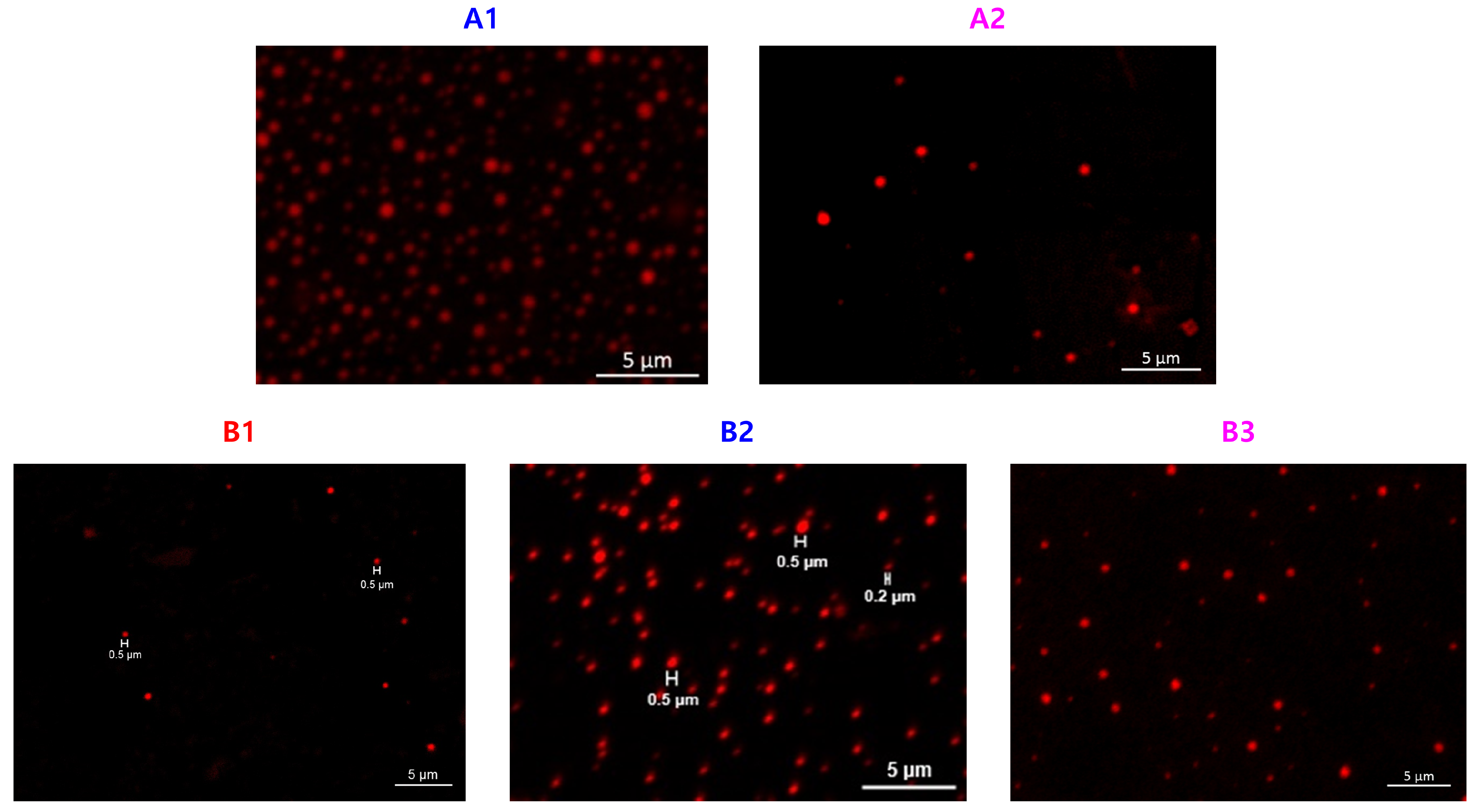Polymers 12 01244 g009 Polymers 12 01244 g009