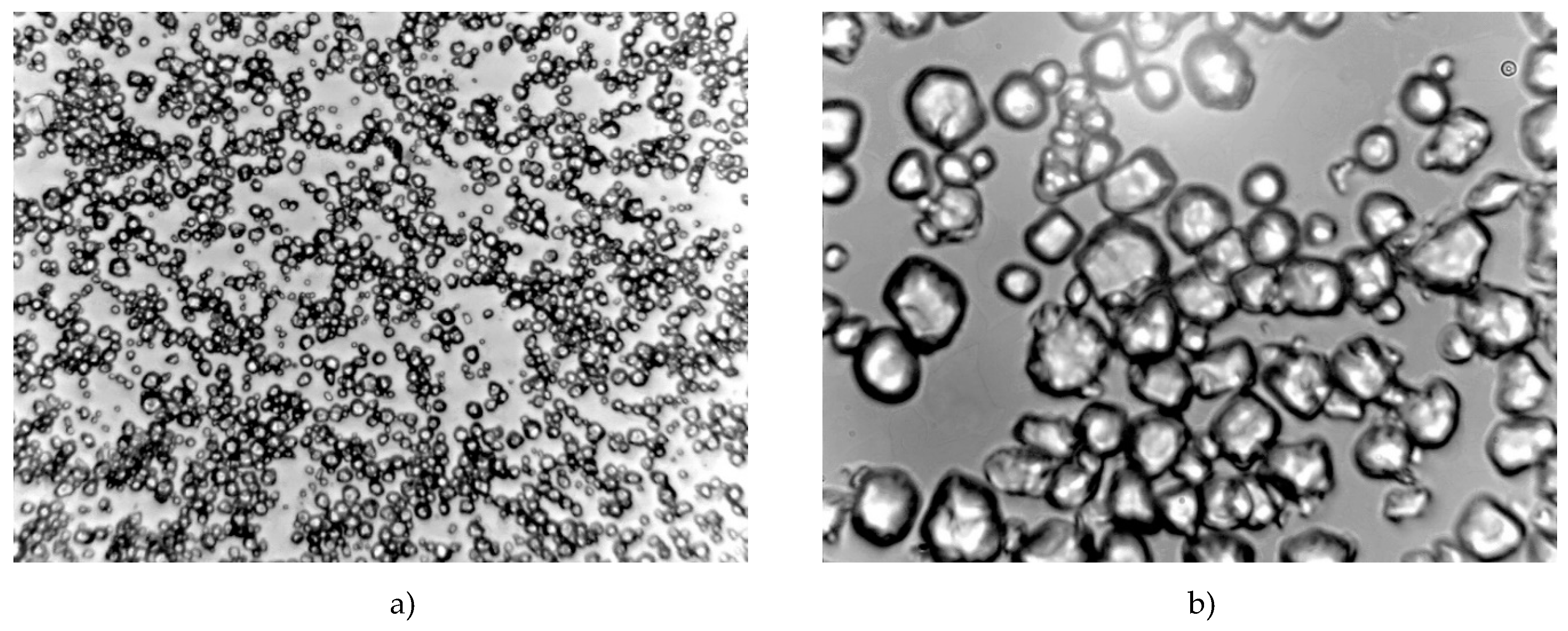 Polymers 12 01251 g006 Polymers 12 01251 g006