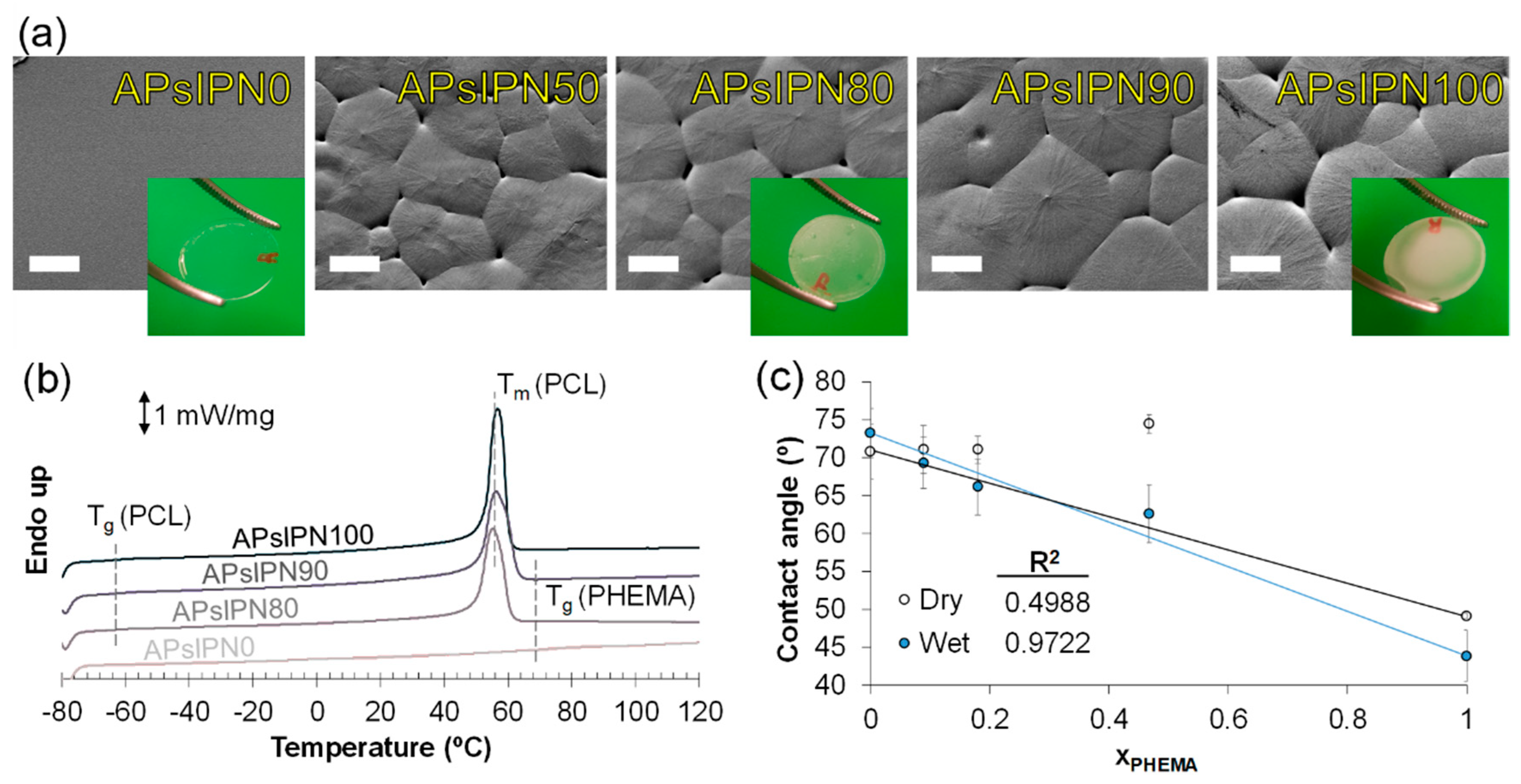 Polymers 12 01256 g001 Polymers 12 01256 g001