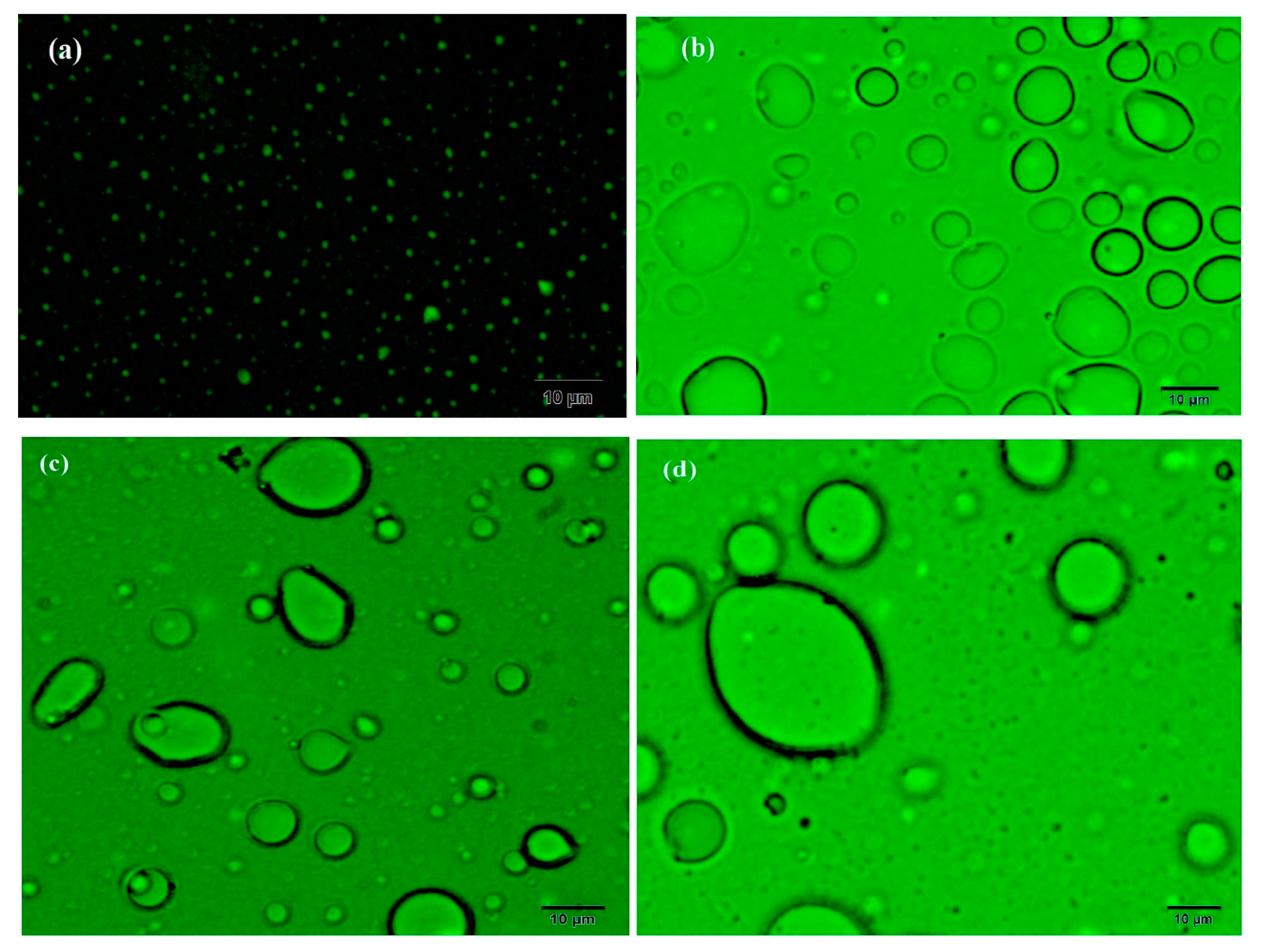 Polymers 12 01273 g009 Polymers 12 01273 g009