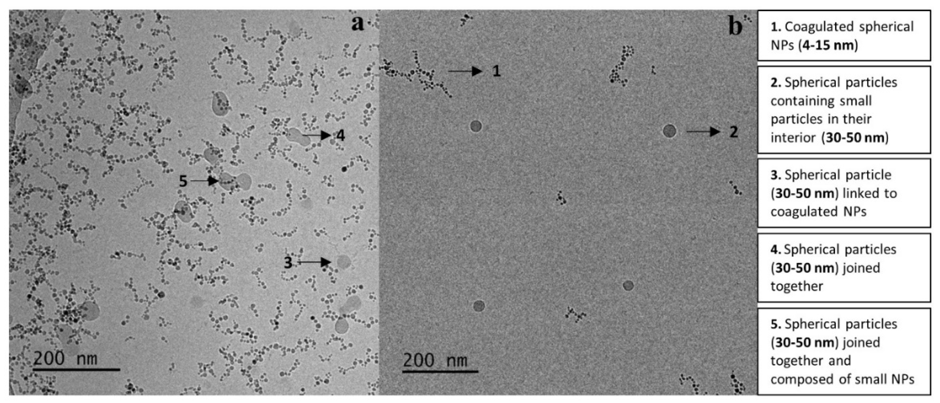 Polymers 12 01283 g010 Polymers 12 01283 g010