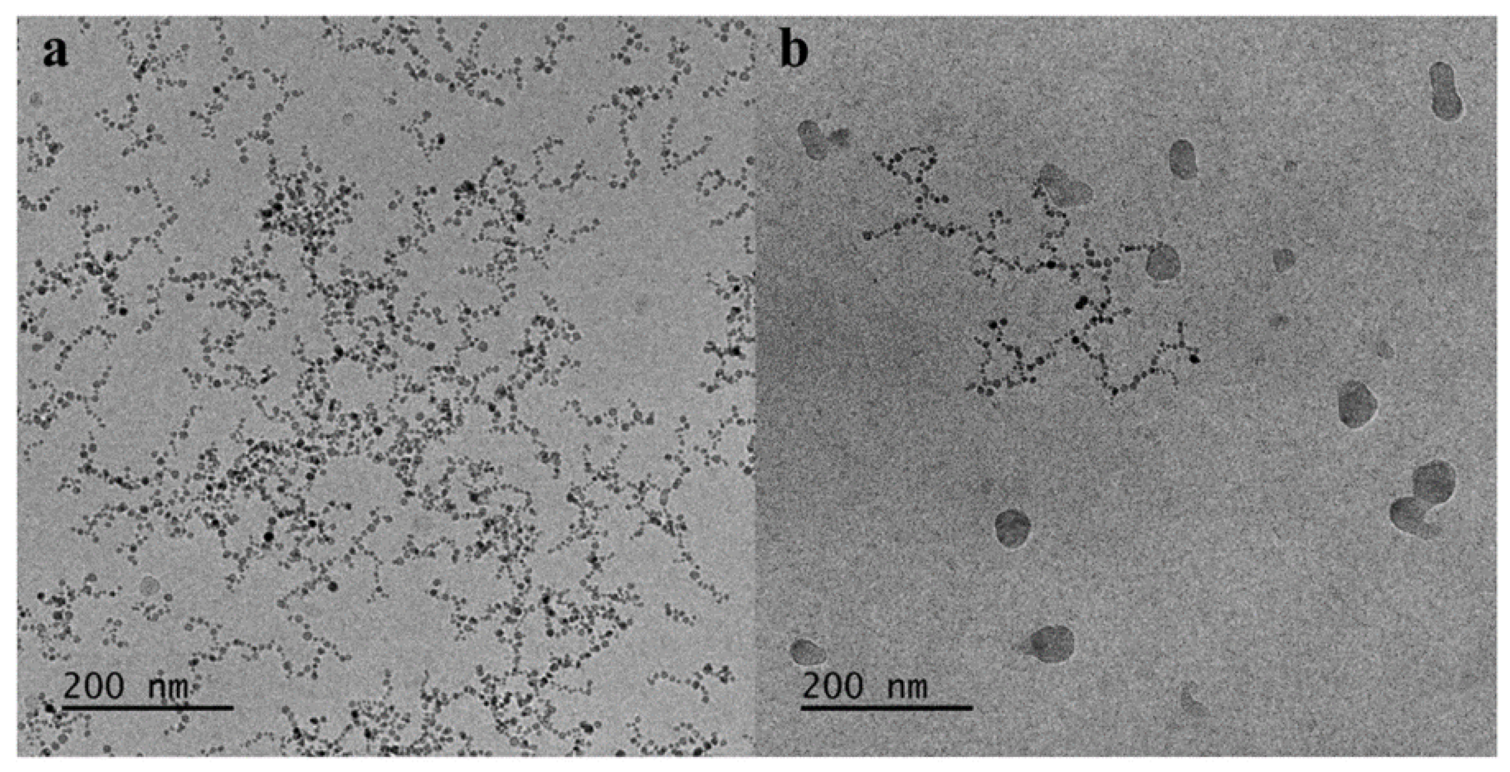 Polymers 12 01283 g011 Polymers 12 01283 g011