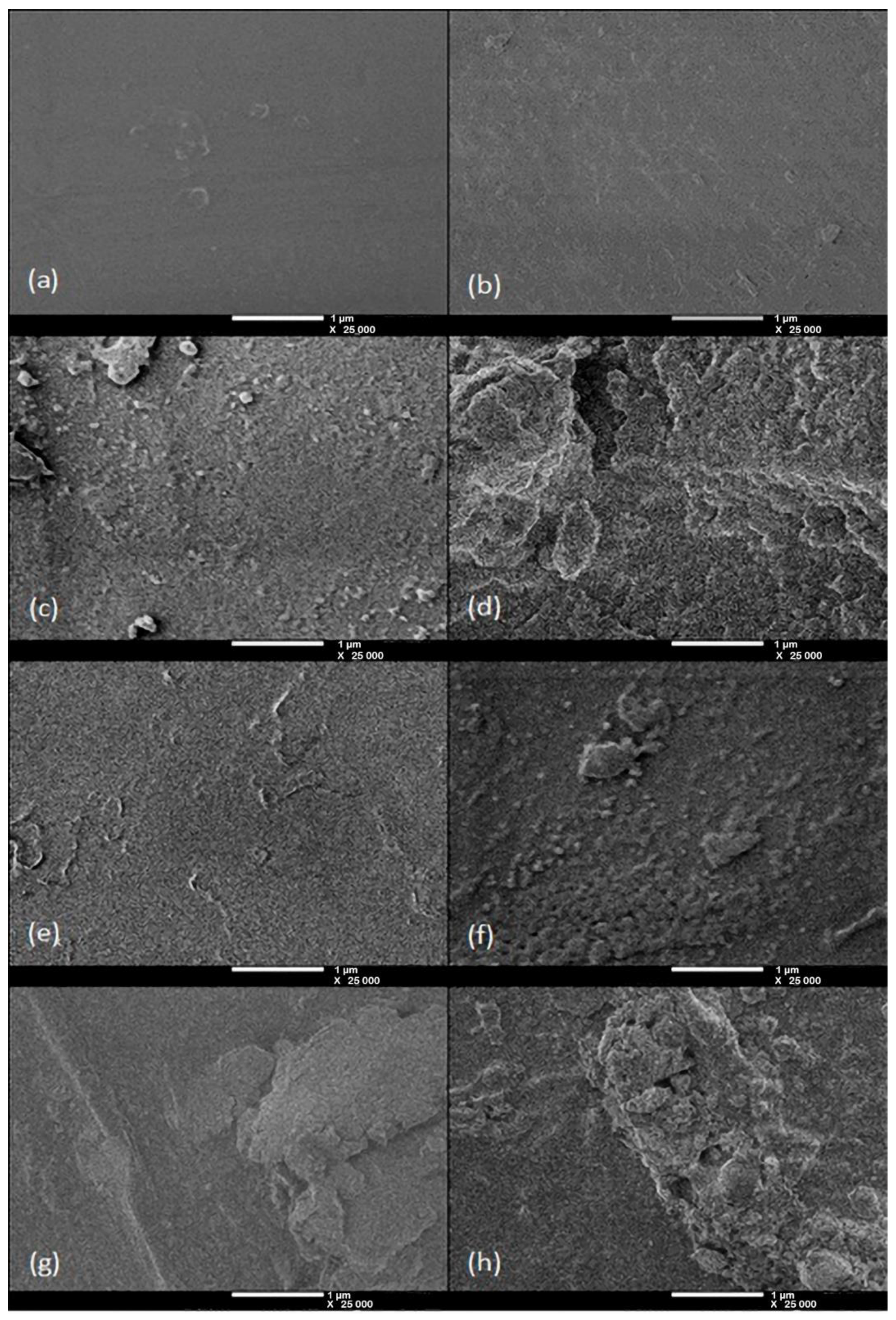 Polymers 12 01284 g004