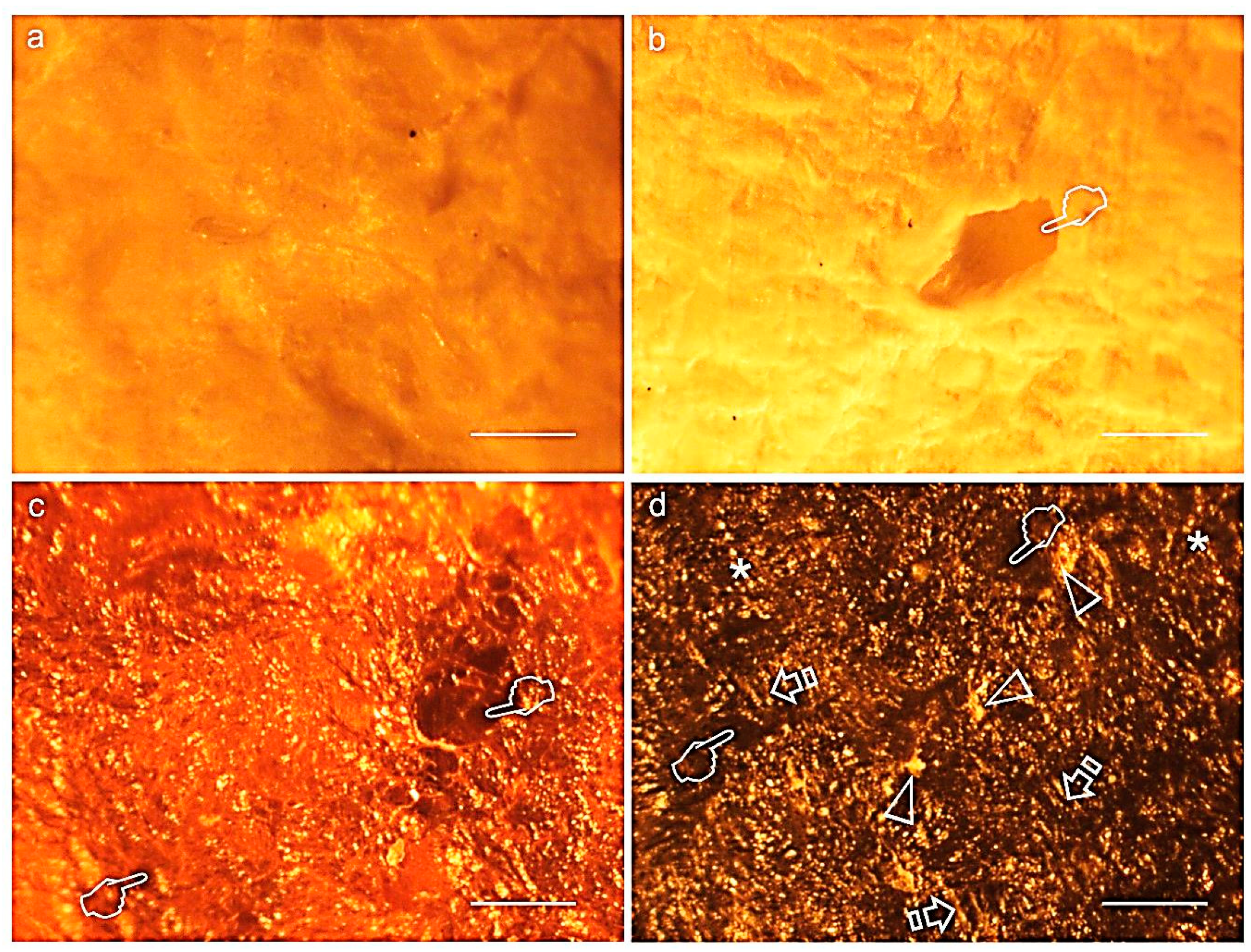 Polymers 12 01290 g003 Polymers 12 01290 g003