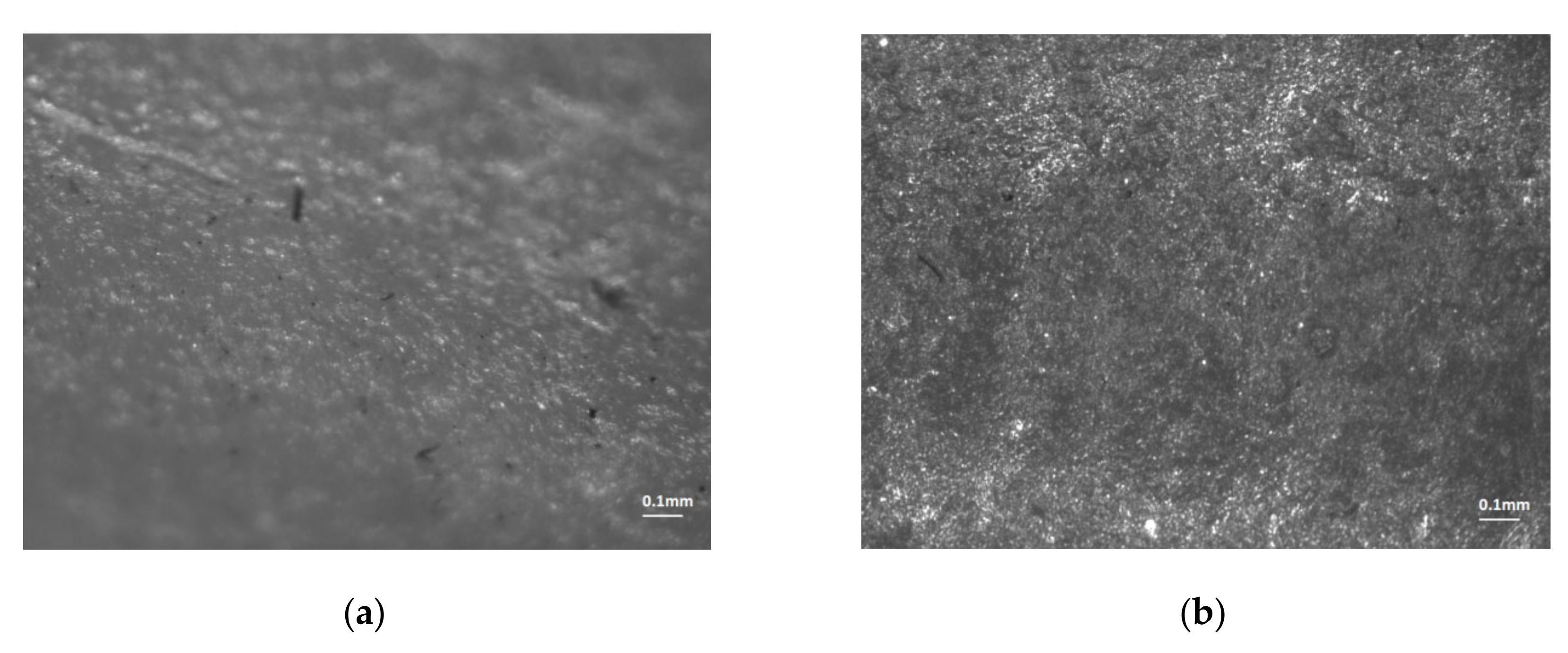 Polymers 12 01292 g019 Polymers 12 01292 g019