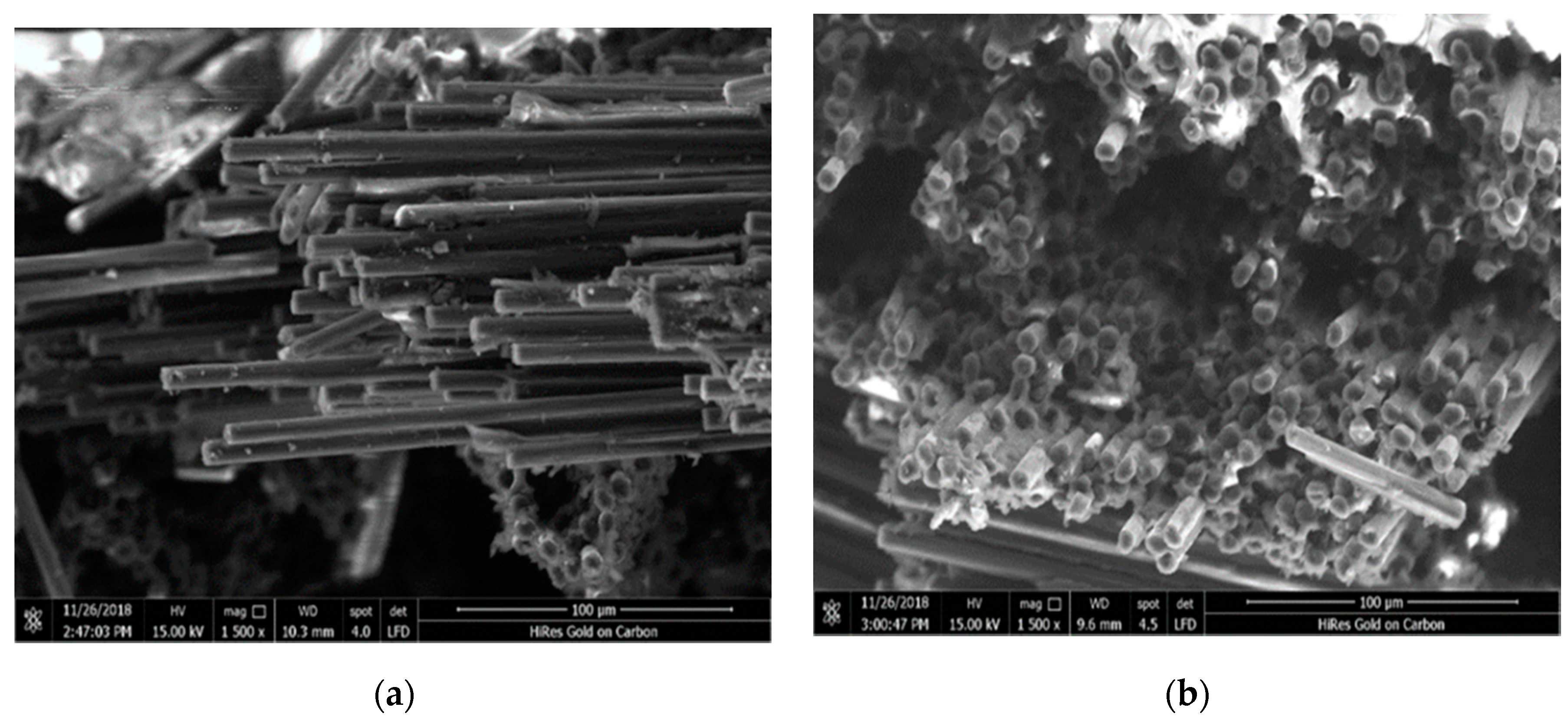 Polymers 12 01293 g008 Polymers 12 01293 g008