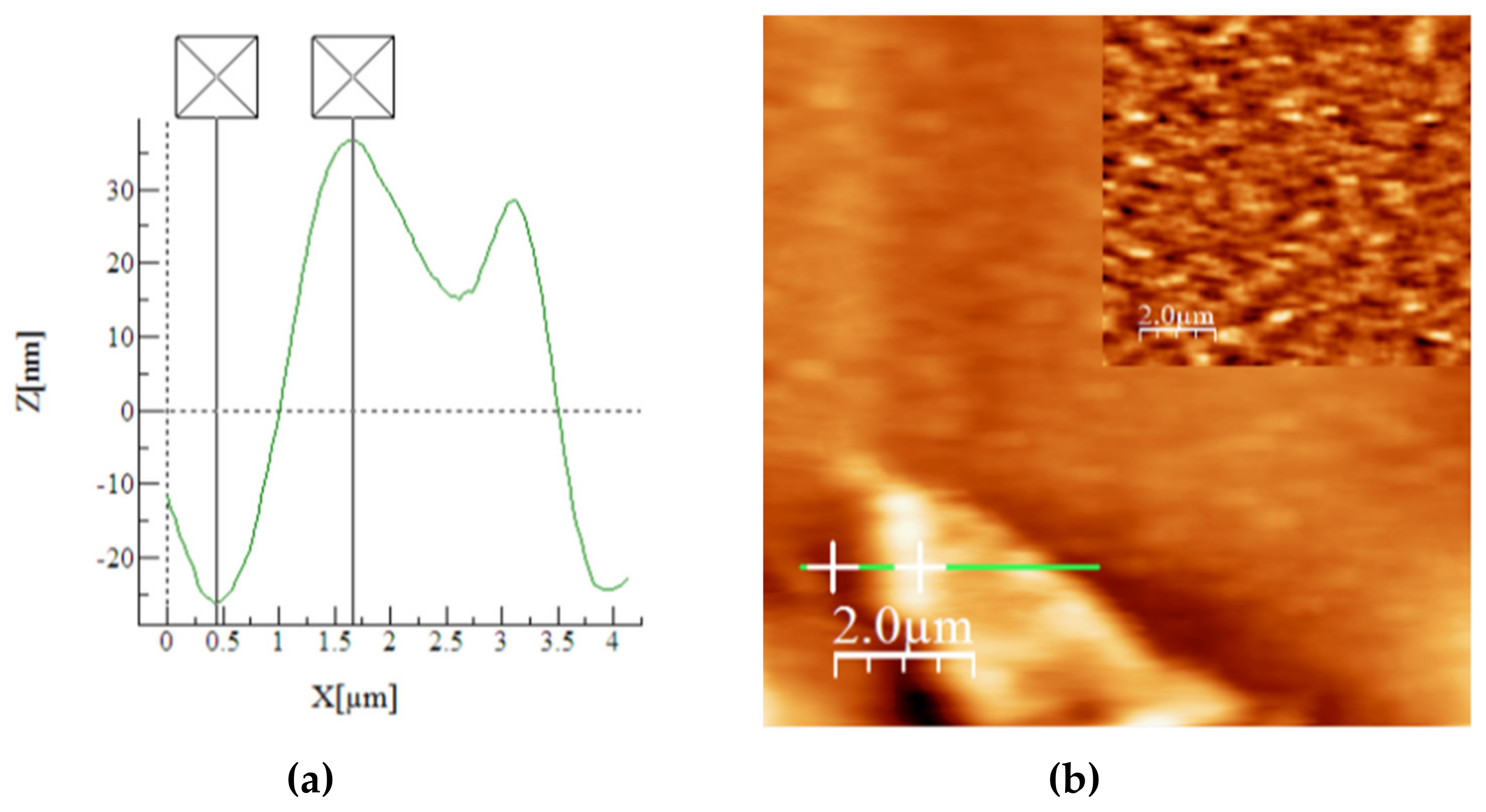 Polymers 12 01299 g008