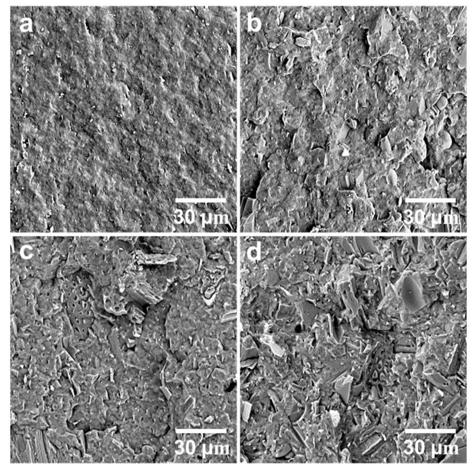 Polymers 12 01300 g004