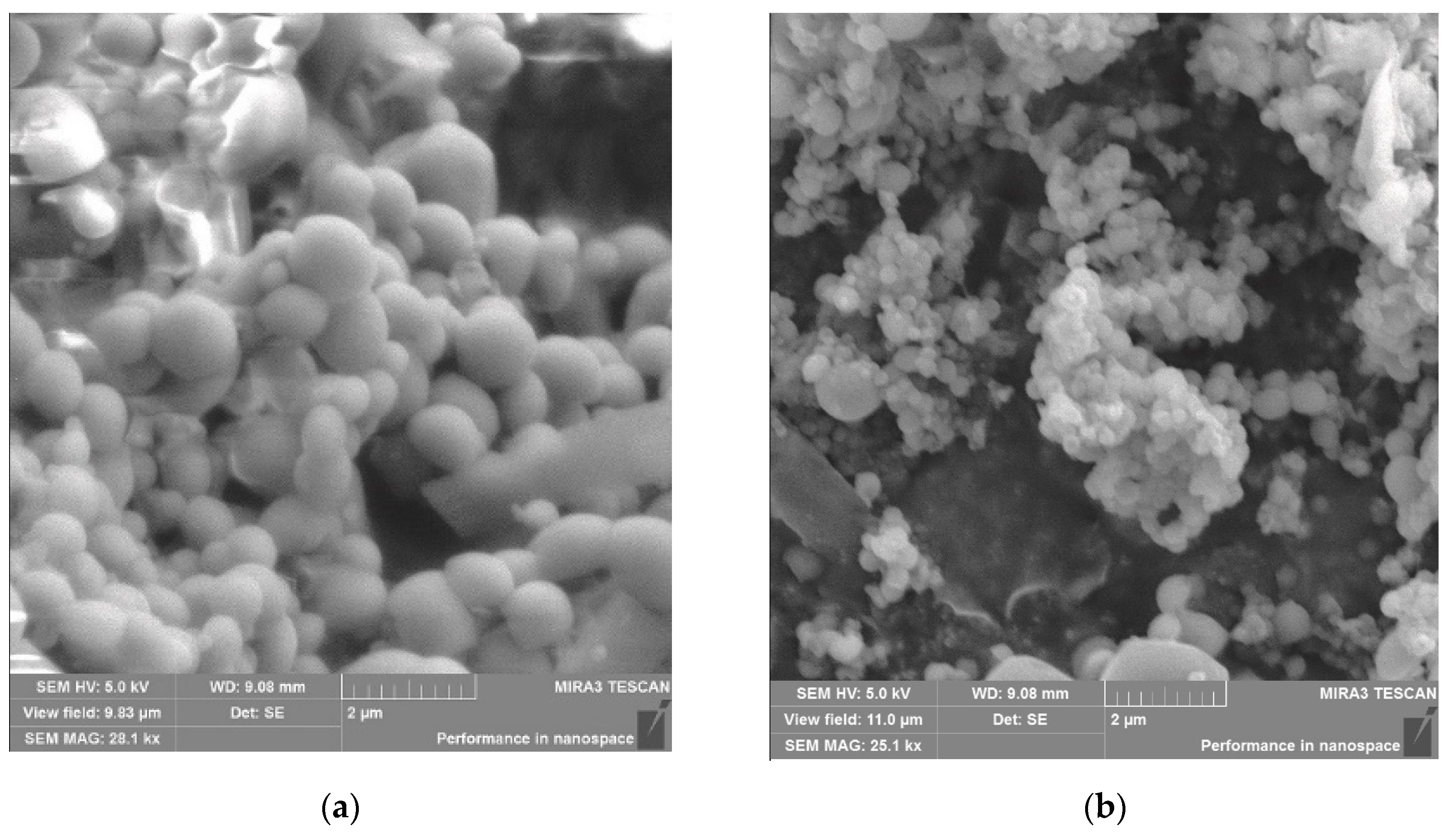 Polymers 12 01301 g005 Polymers 12 01301 g005