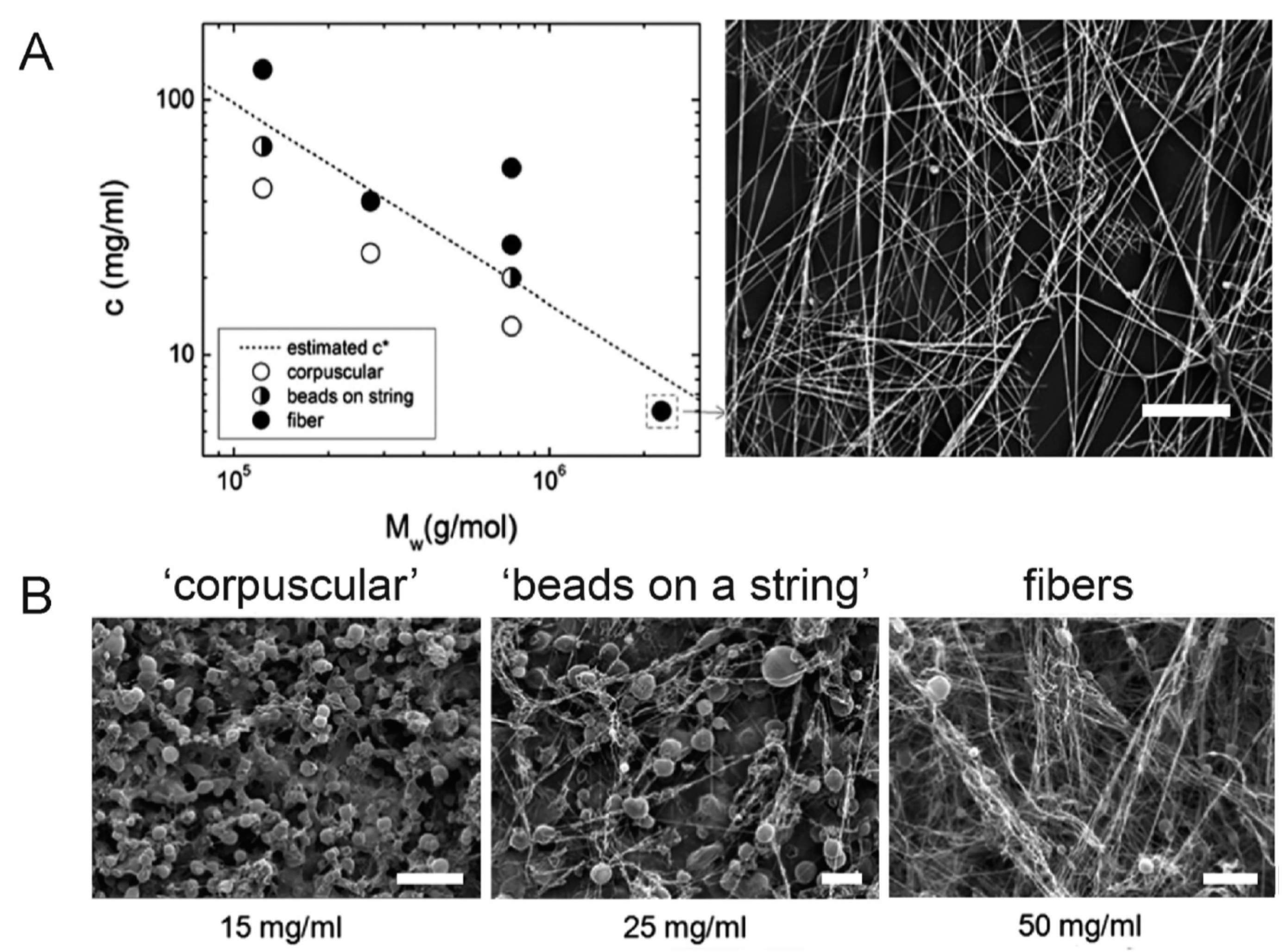 Polymers 12 01304 g013 Polymers 12 01304 g013