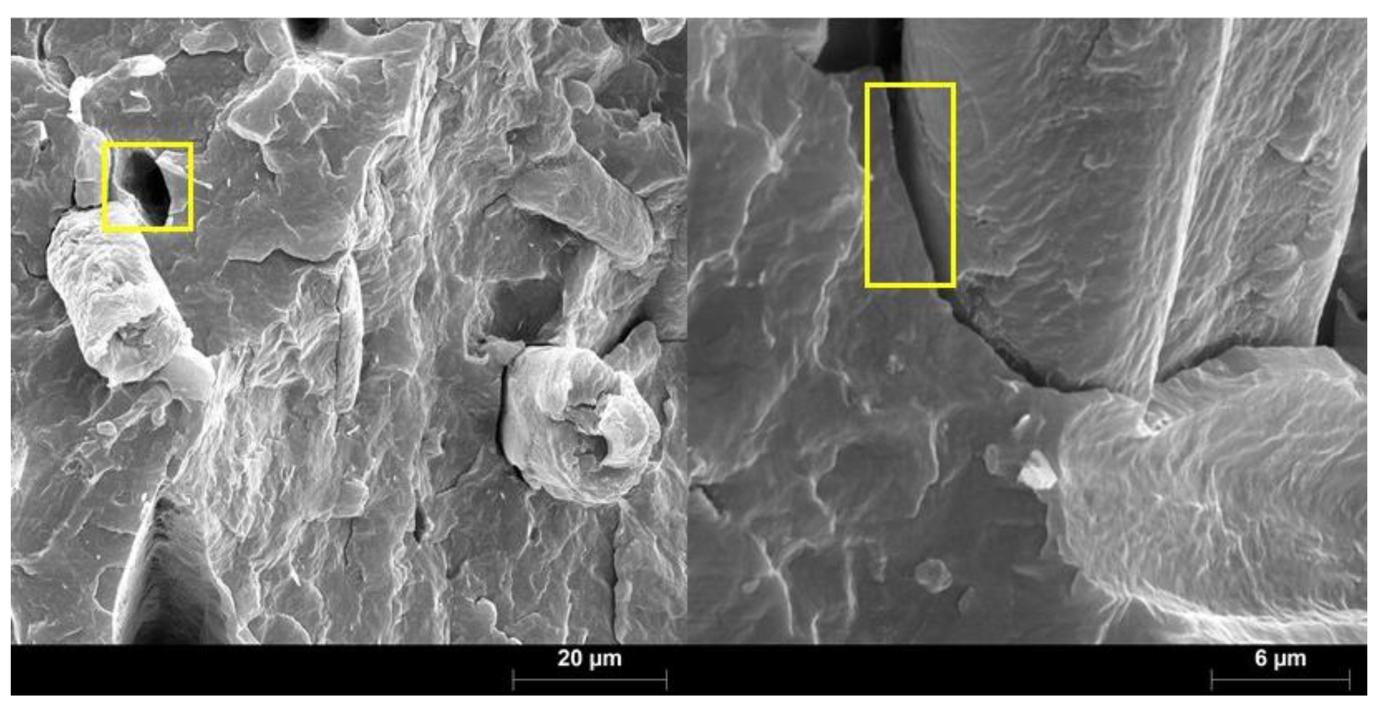 Polymers 12 01308 g004 Polymers 12 01308 g004