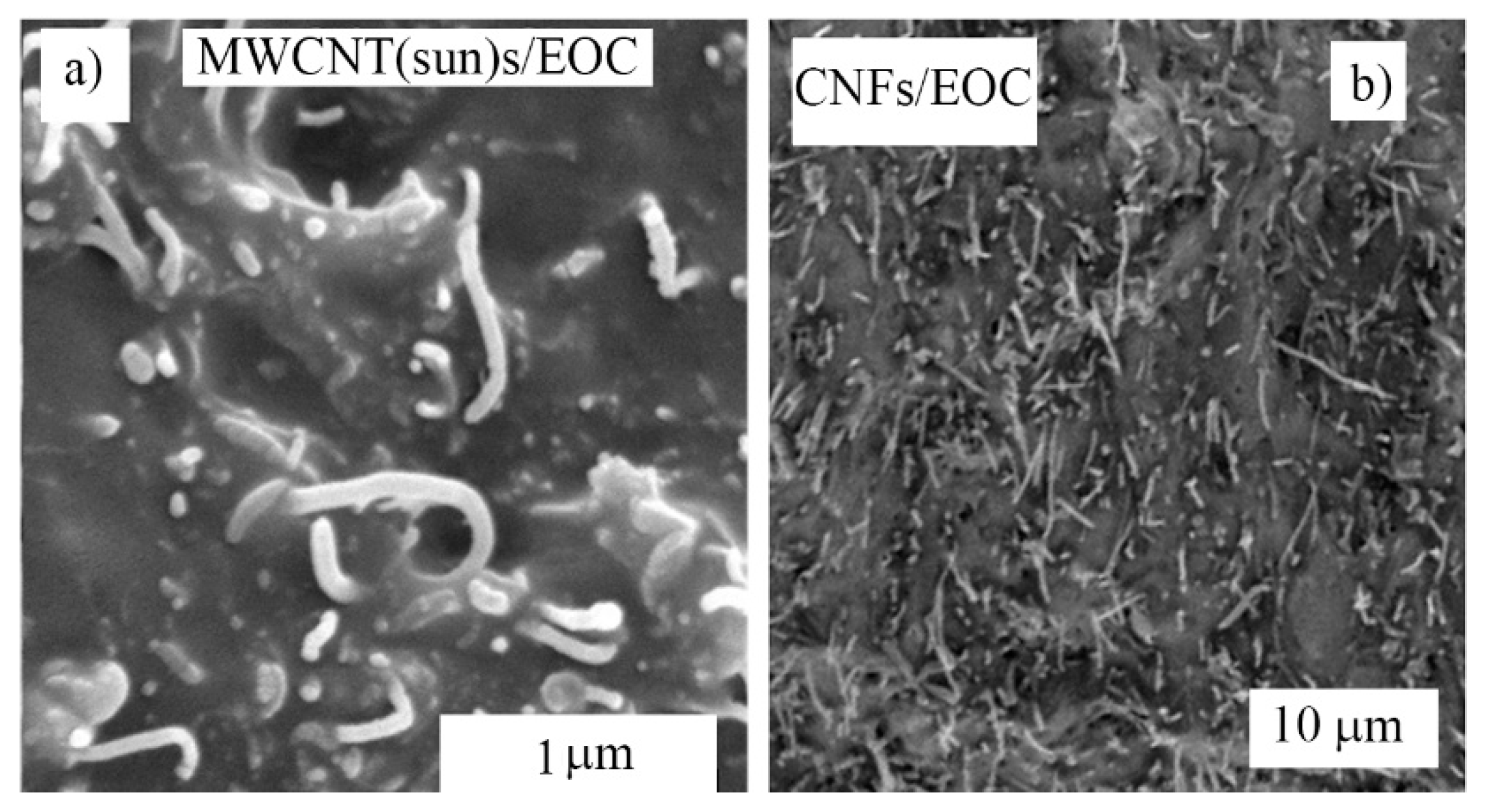 Polymers 12 01316 g004 Polymers 12 01316 g004