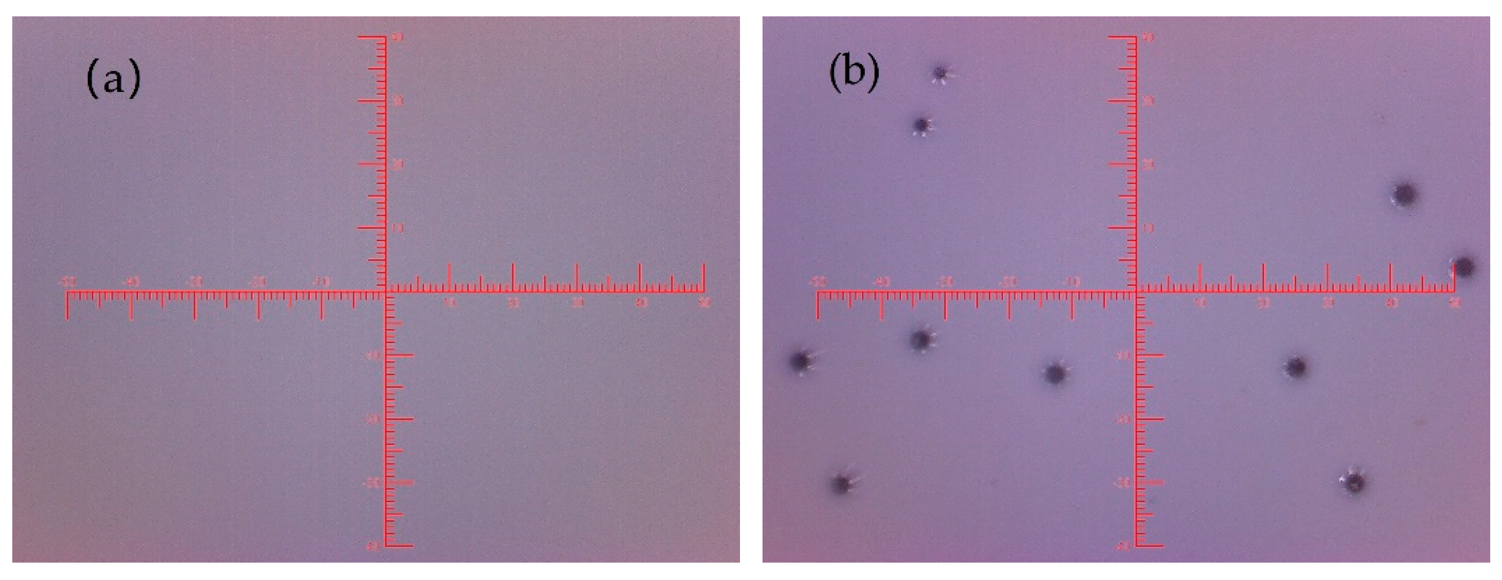 Polymers 12 01318 g004