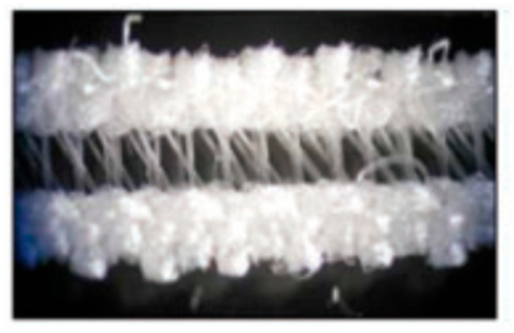 Polymers 12 01319 i001