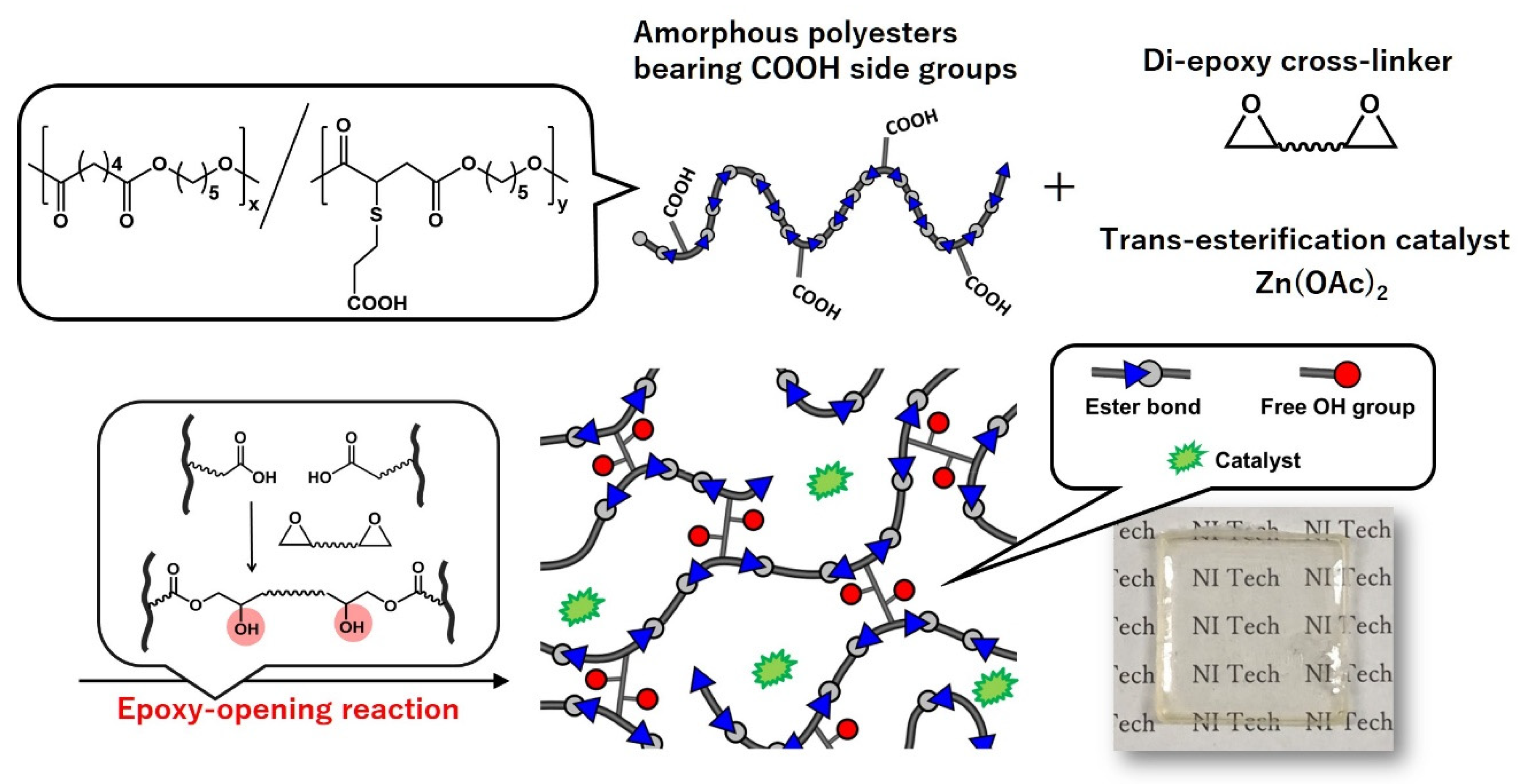 Polymers 12 01322 g004 Polymers 12 01322 g004
