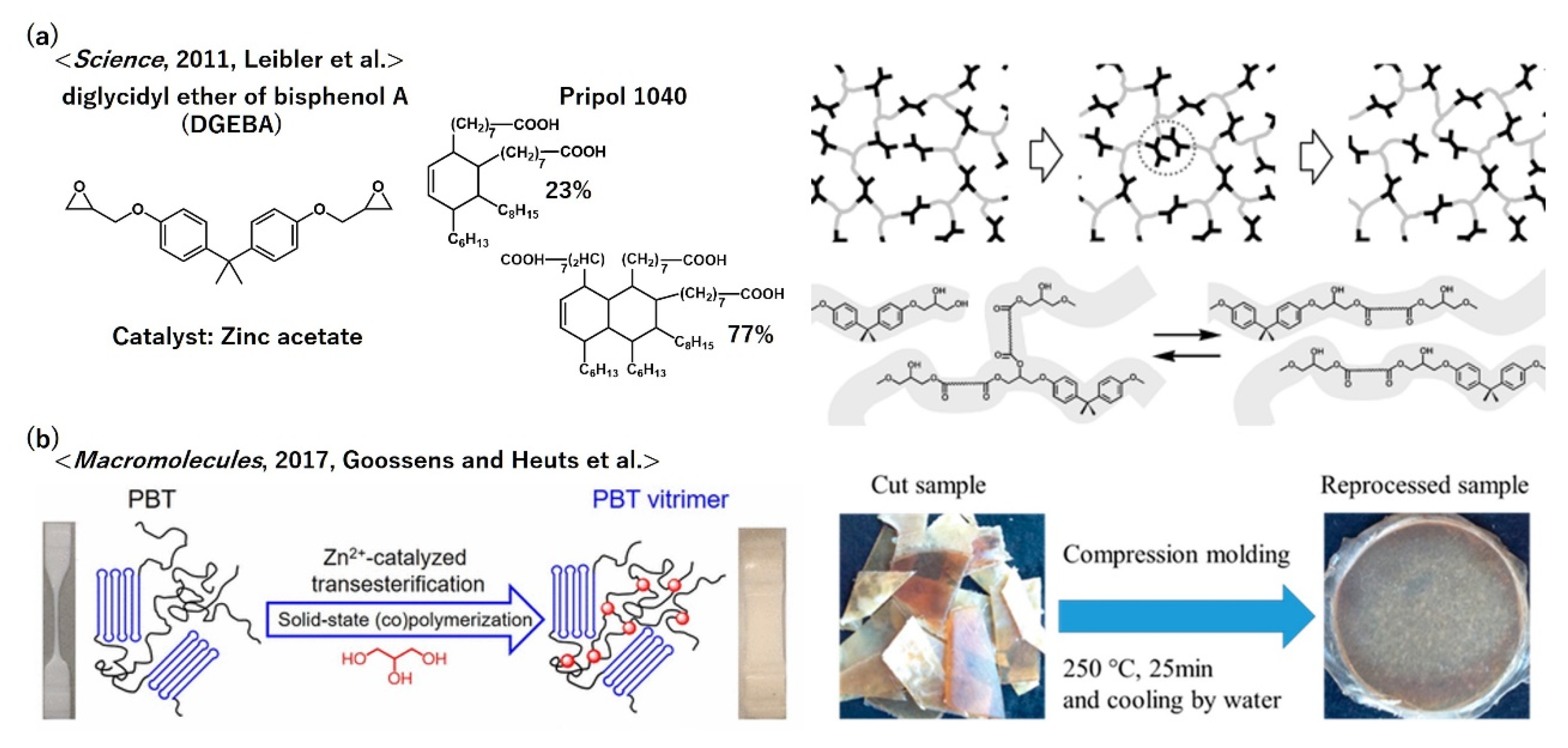 Polymers 12 01322 g008 Polymers 12 01322 g008