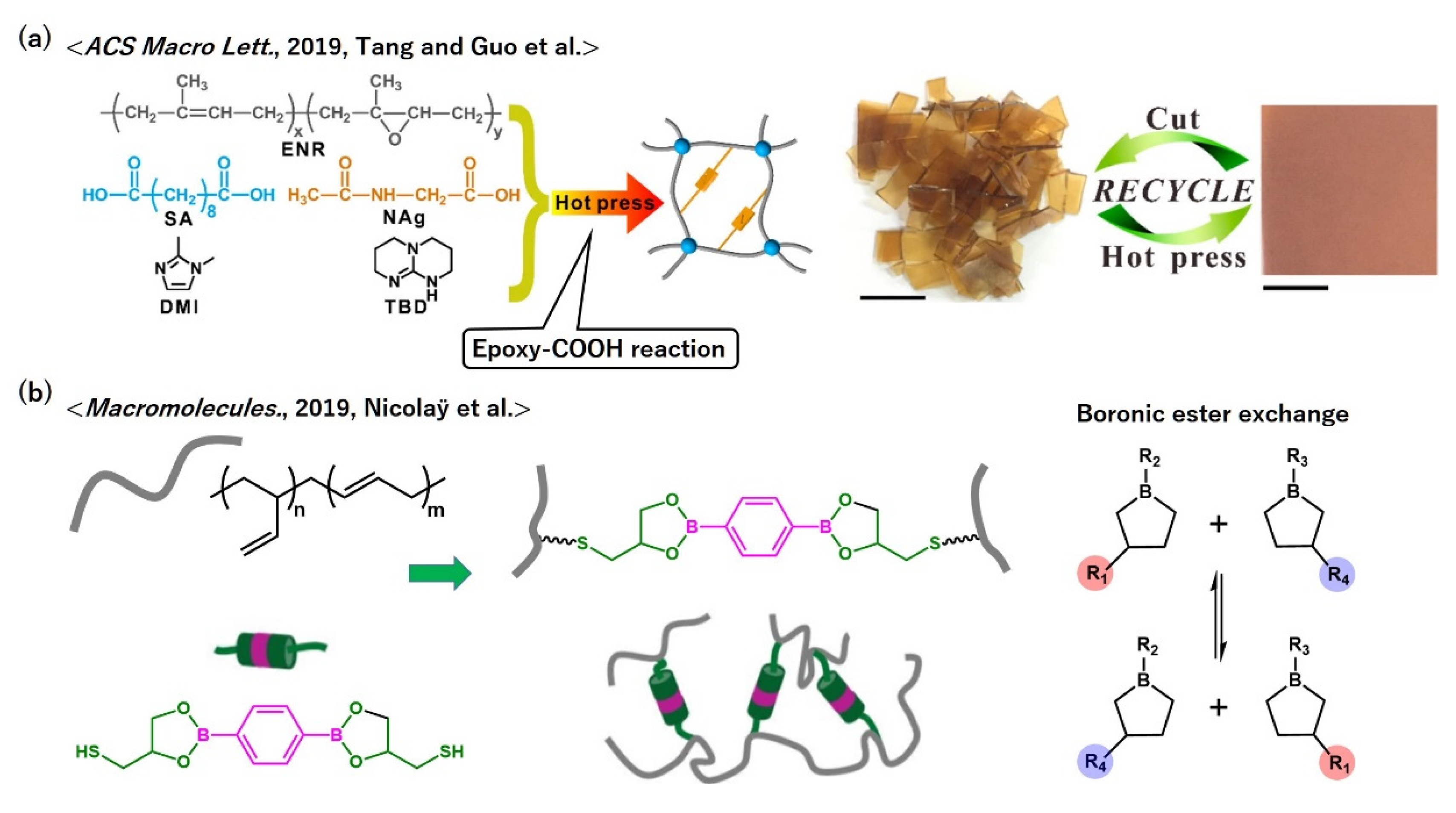 Polymers 12 01322 g013 Polymers 12 01322 g013