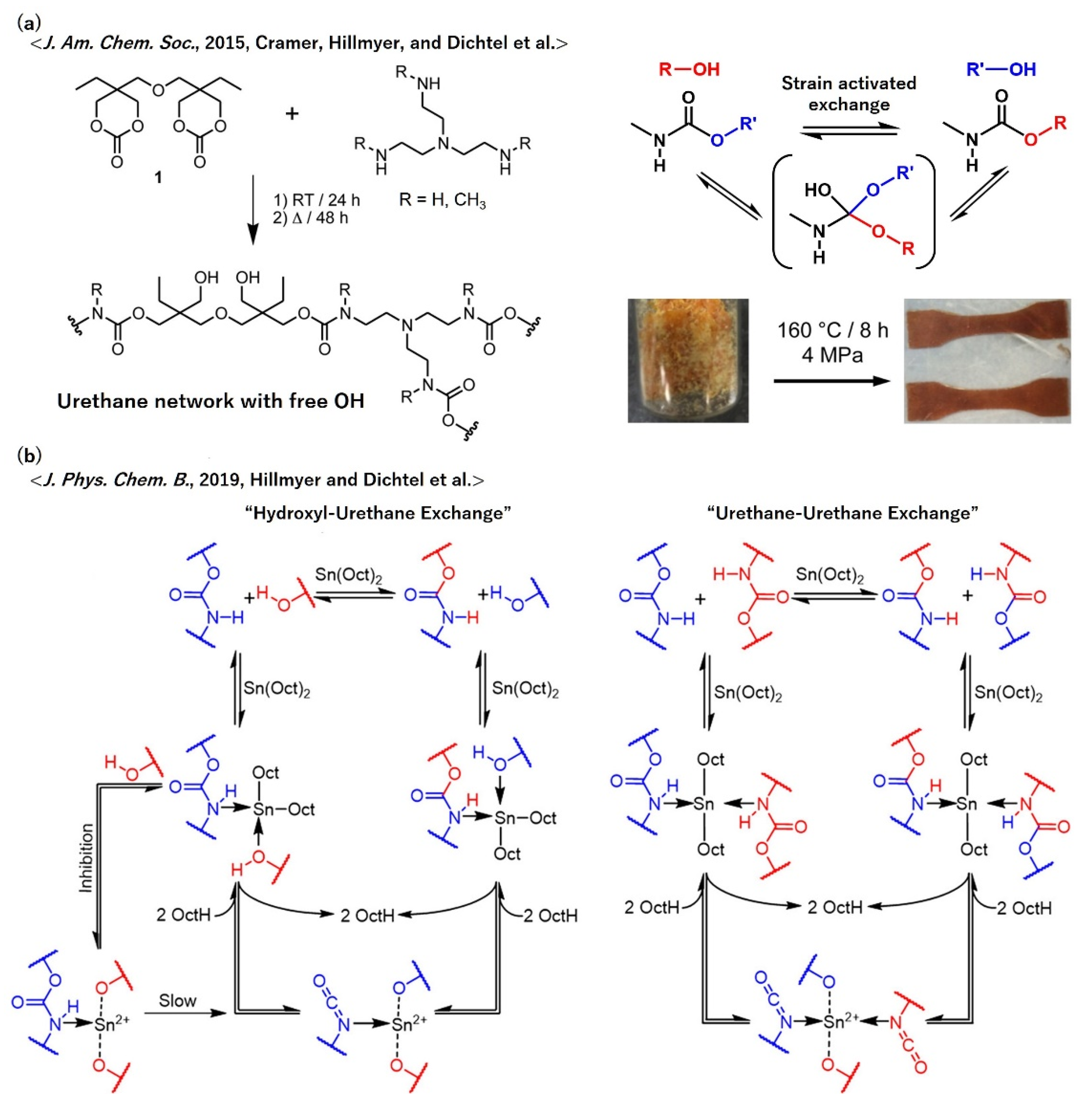 Polymers 12 01322 g014 Polymers 12 01322 g014