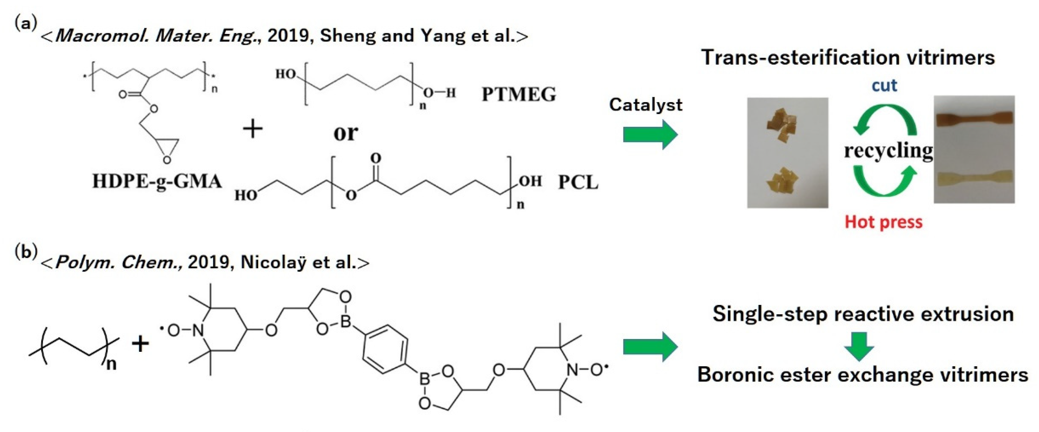 Polymers 12 01322 g015 Polymers 12 01322 g015
