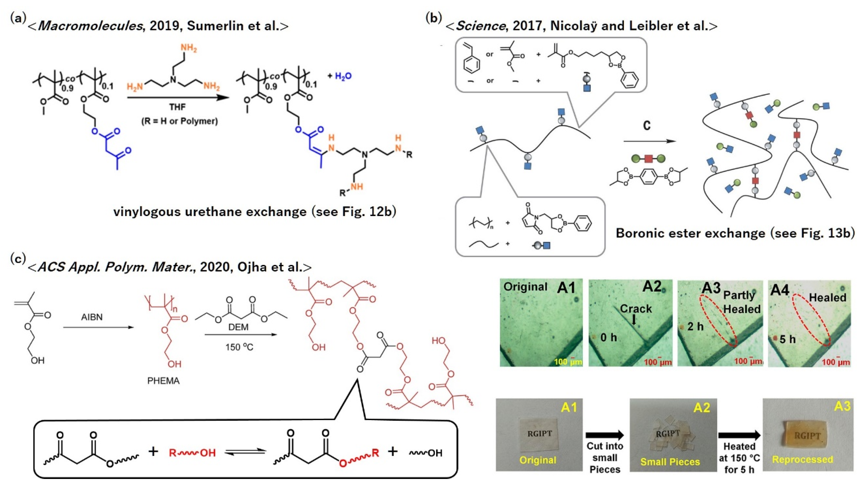 Polymers 12 01322 g016 Polymers 12 01322 g016