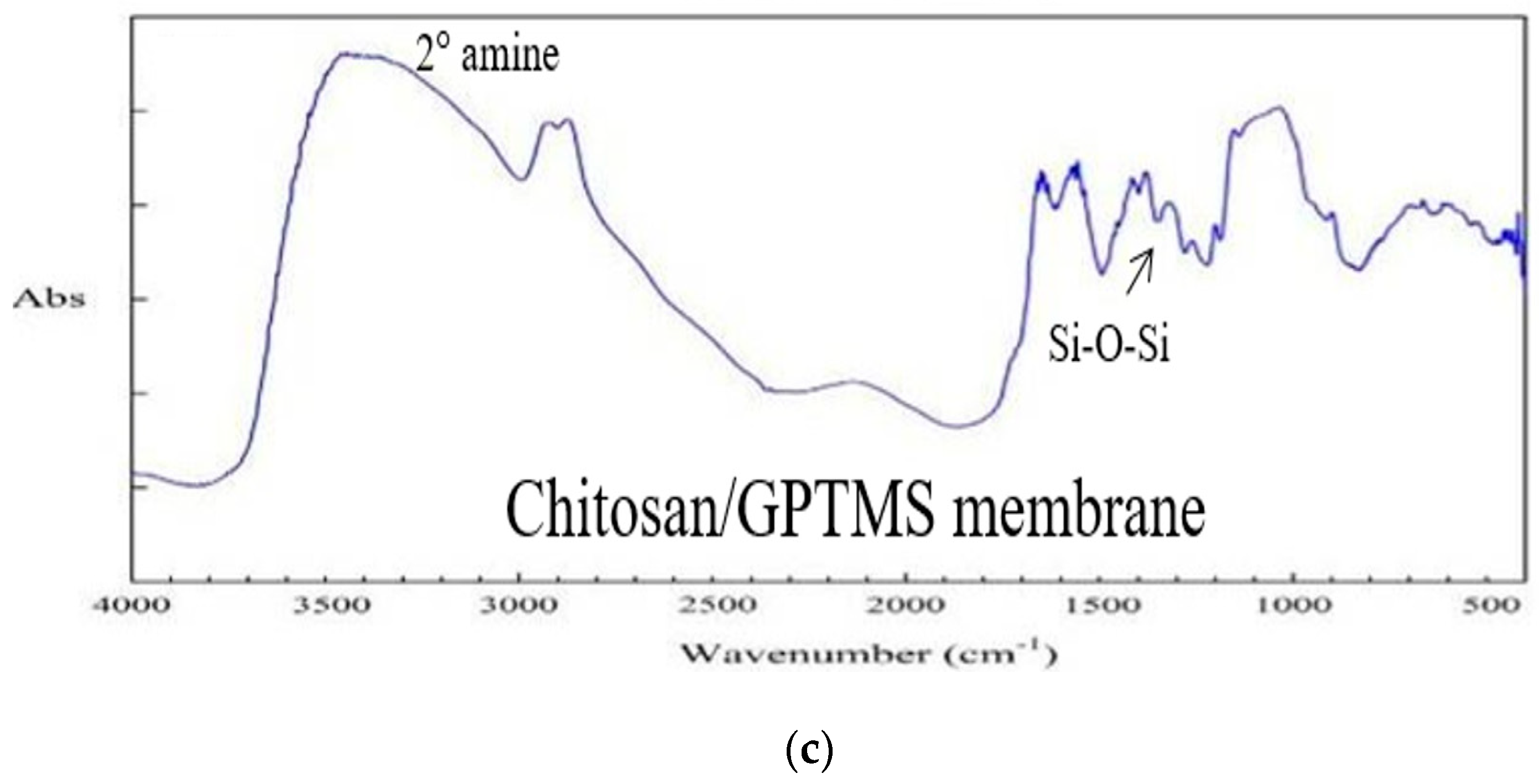 Polymers 12 01326 g003b