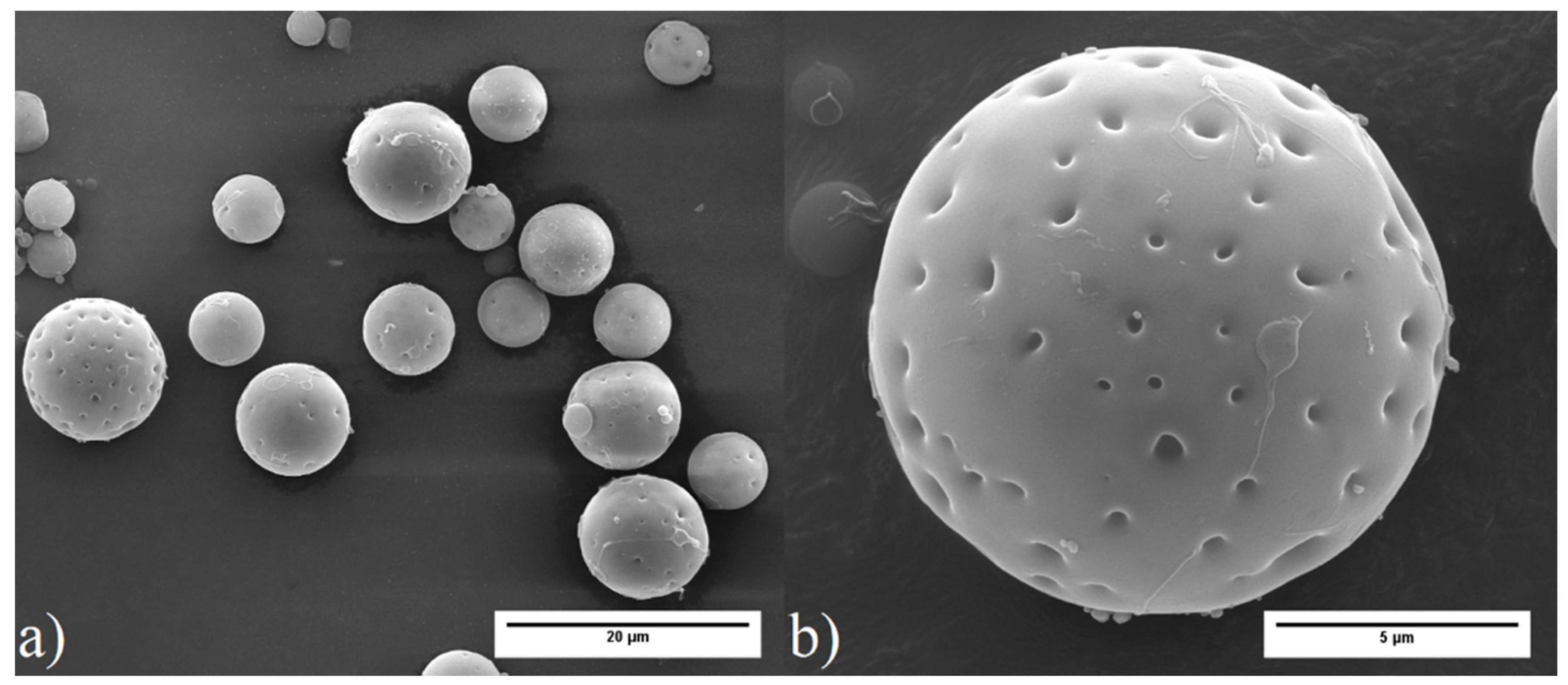 Polymers 12 01331 g001