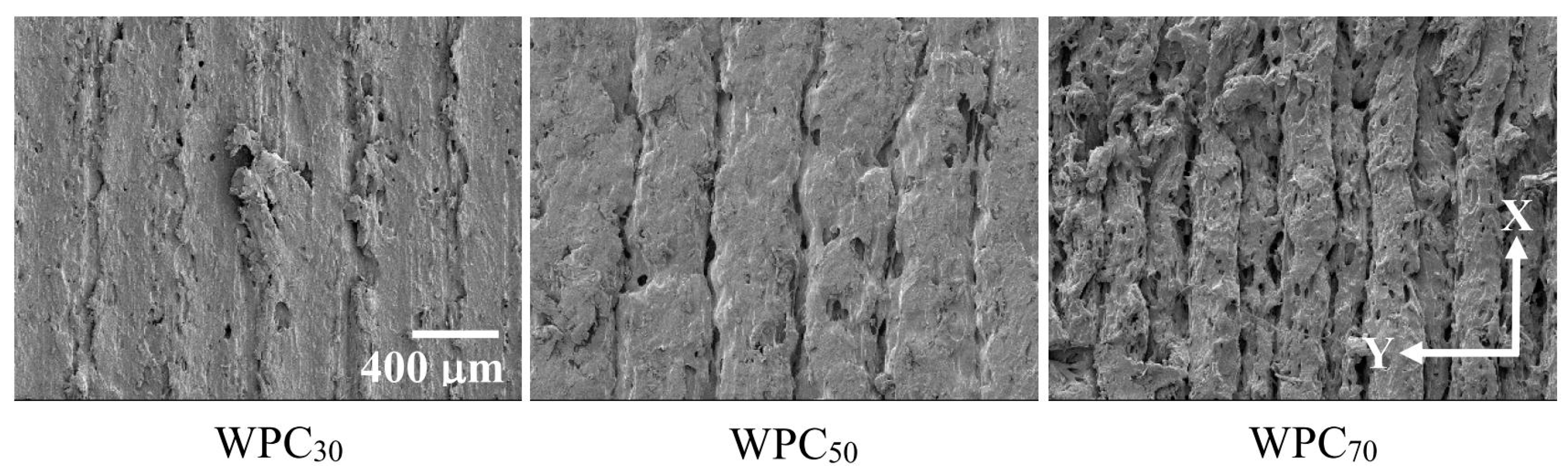Polymers 12 01334 g007 Polymers 12 01334 g007