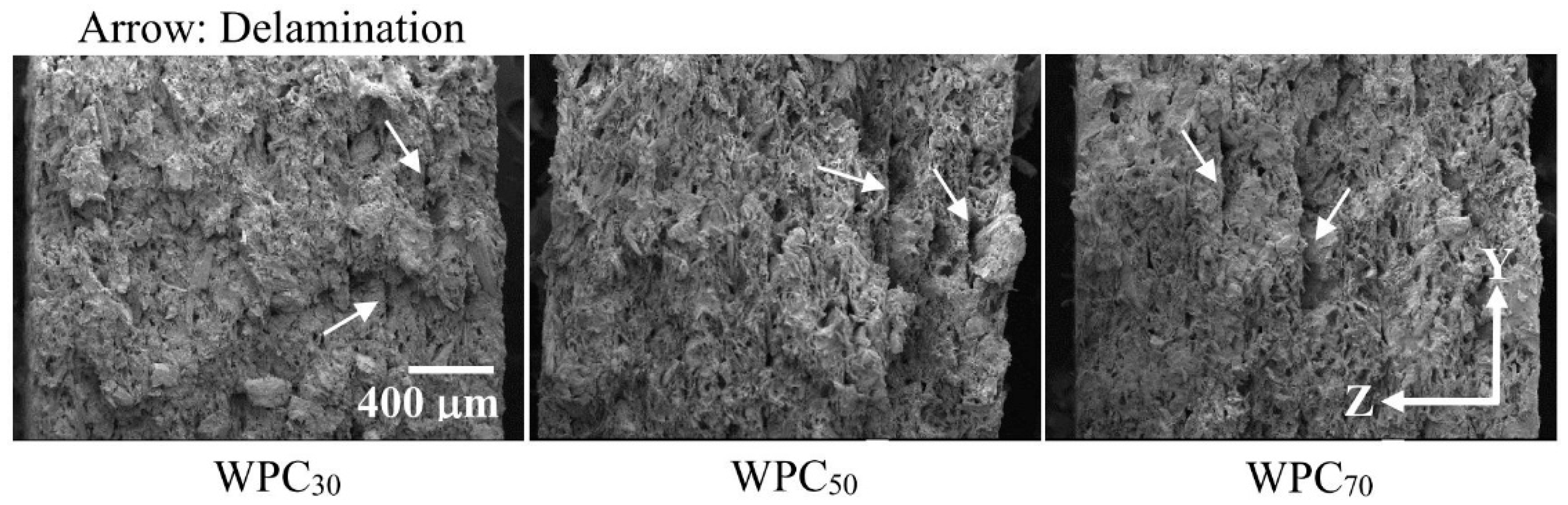 Polymers 12 01334 g009 Polymers 12 01334 g009