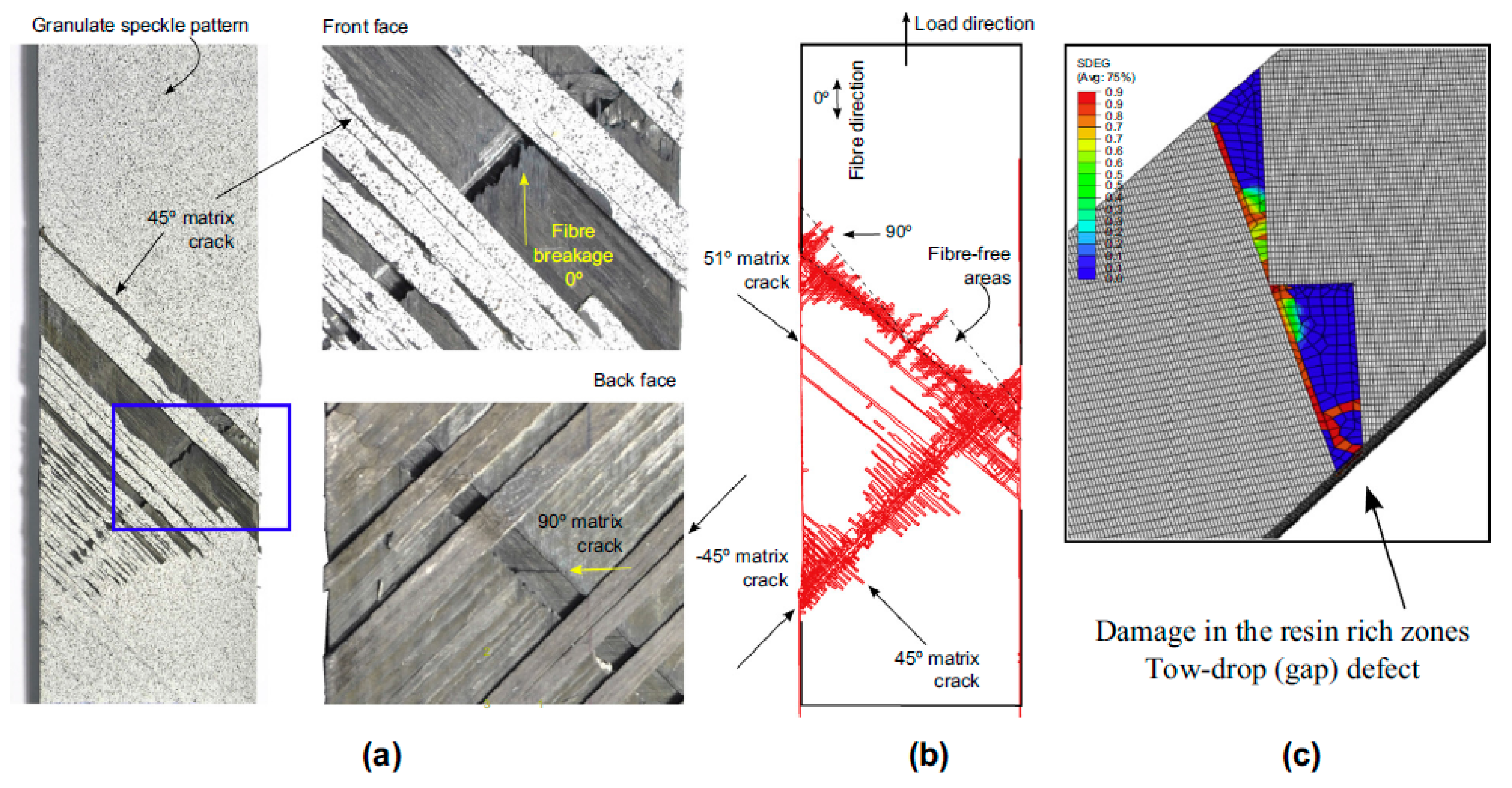Polymers 12 01337 g007 Polymers 12 01337 g007