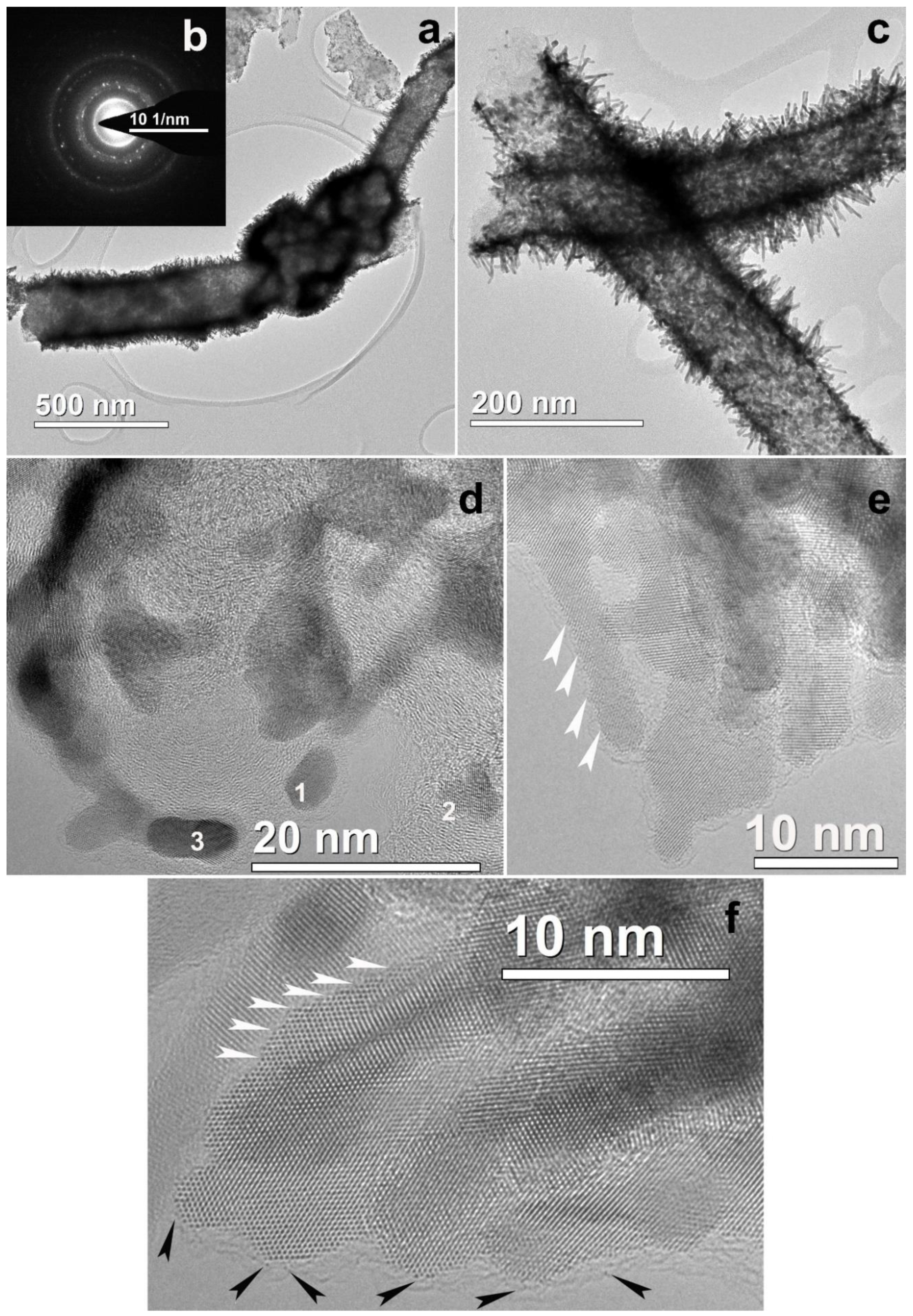 Polymers 12 01340 g007 Polymers 12 01340 g007