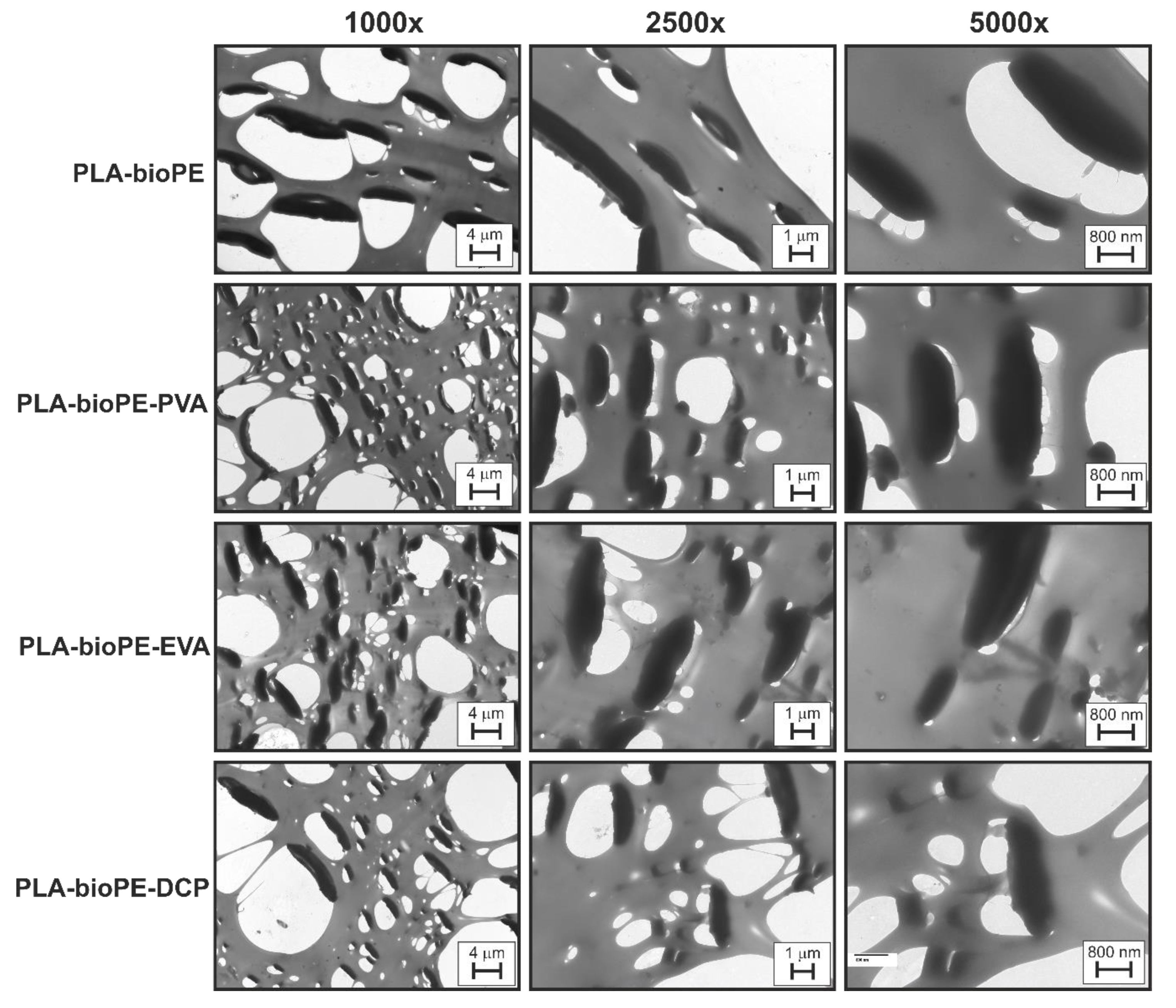 Polymers 12 01344 g006 Polymers 12 01344 g006