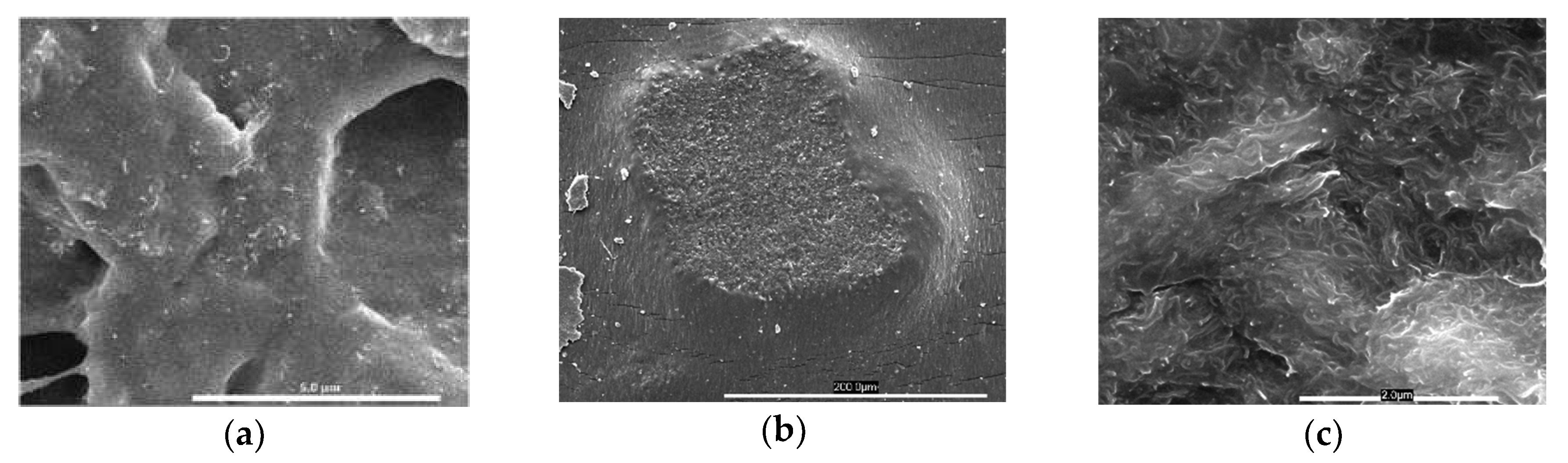 Polymers 12 01345 g002 Polymers 12 01345 g002