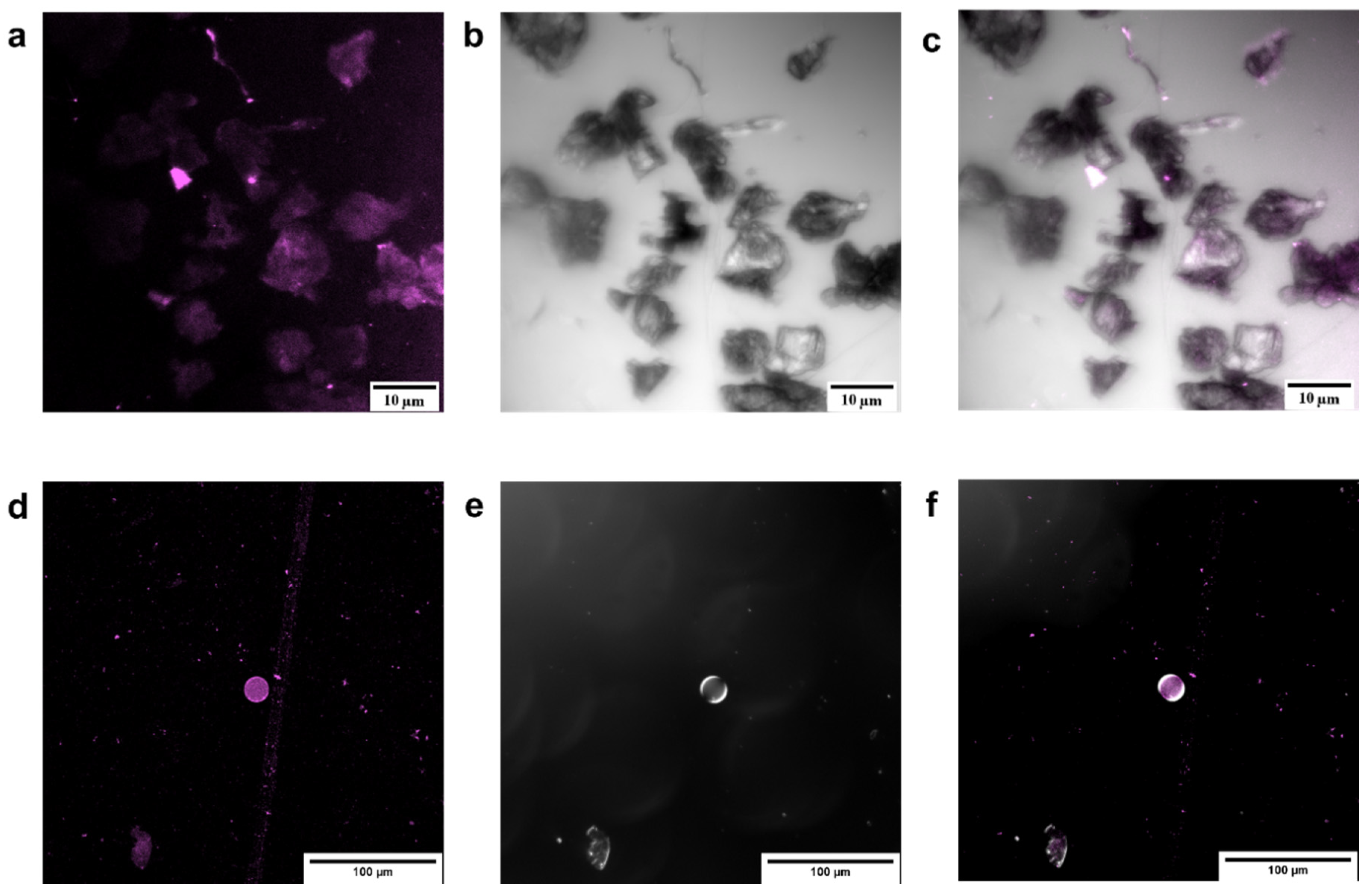 Polymers 12 01353 g002