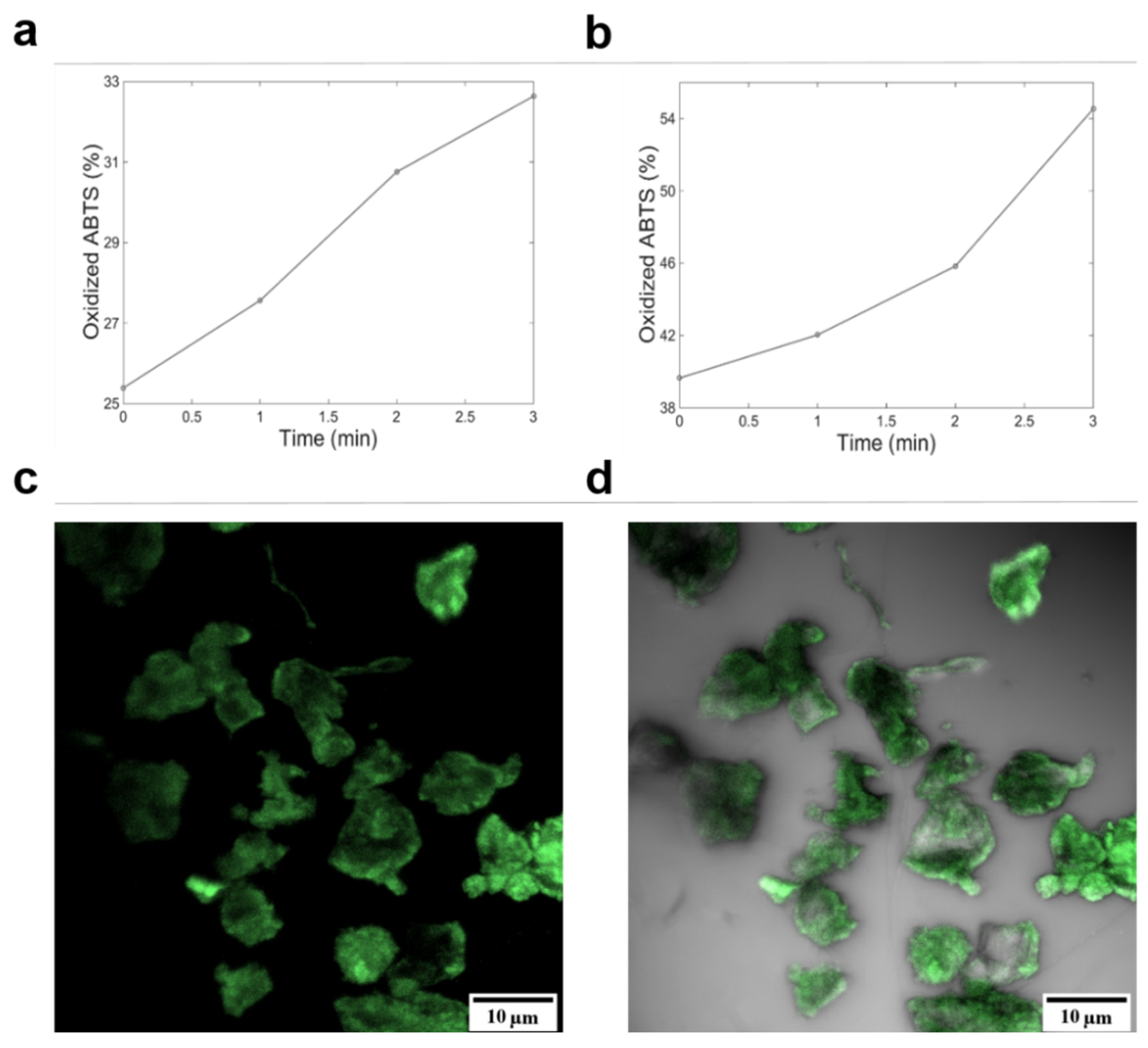Polymers 12 01353 g004
