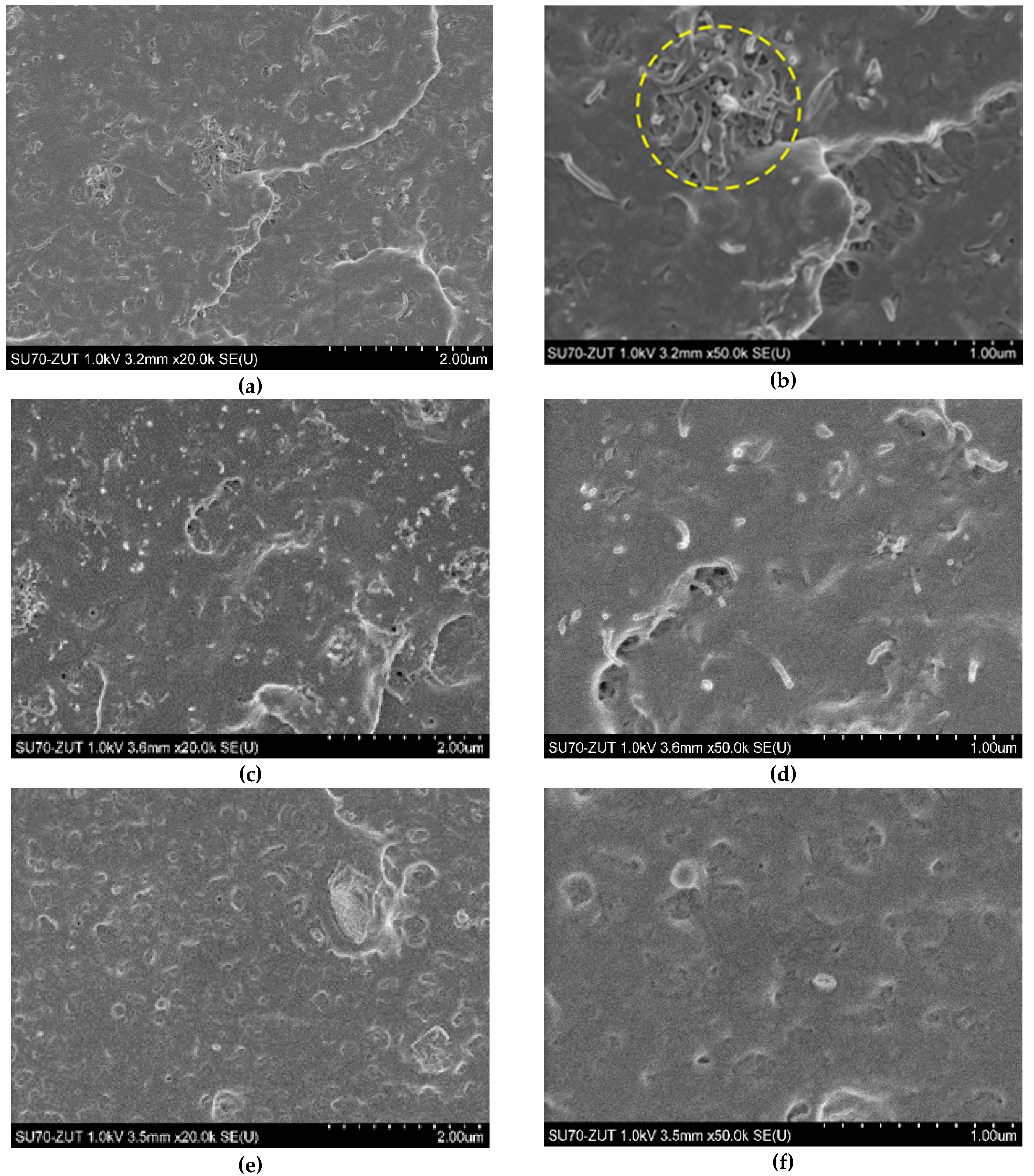 Polymers 12 01356 g002