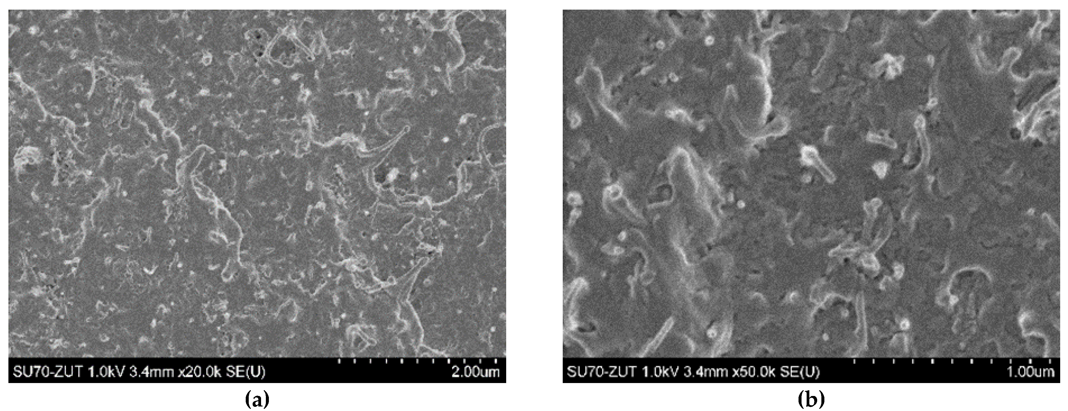Polymers 12 01356 g003a