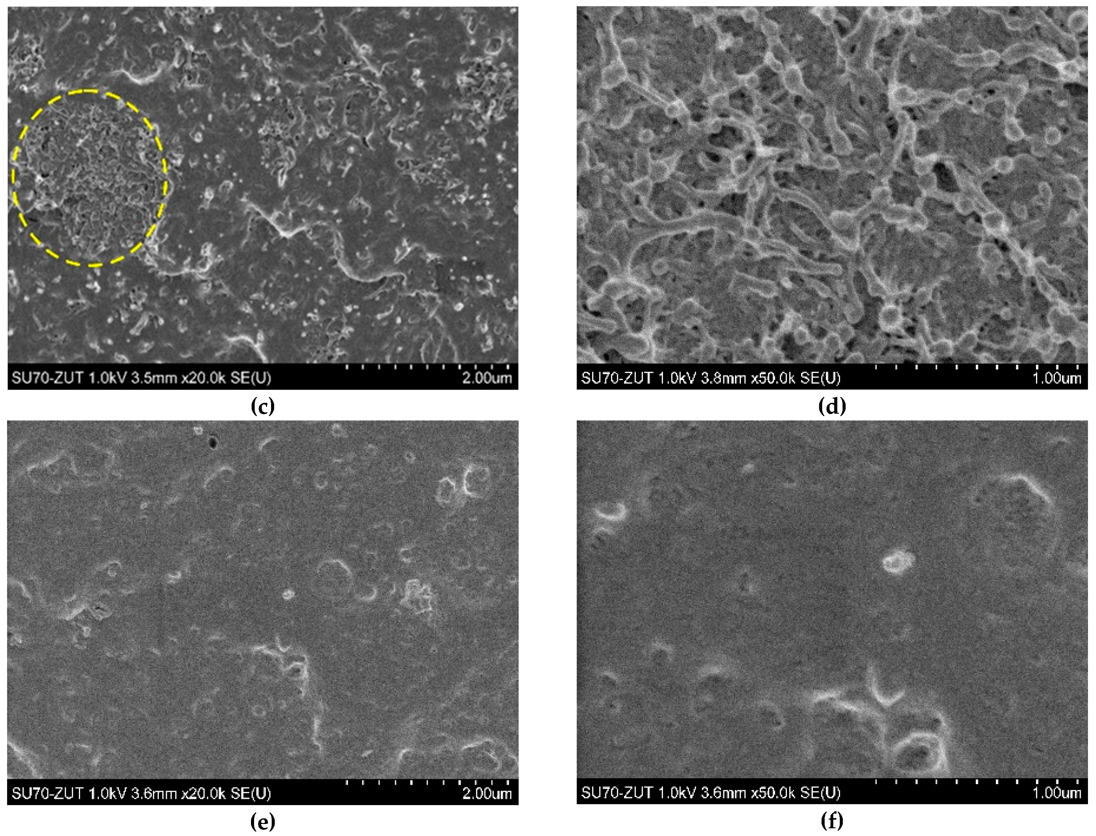 Polymers 12 01356 g003b