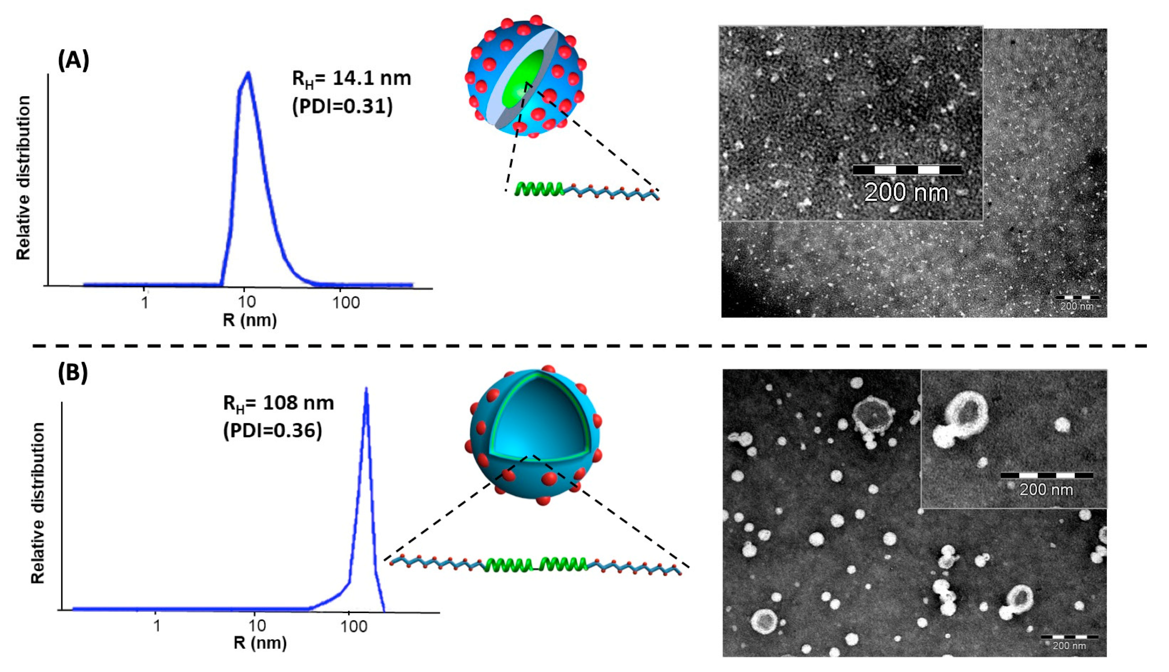 Polymers 12 01357 g004 Polymers 12 01357 g004