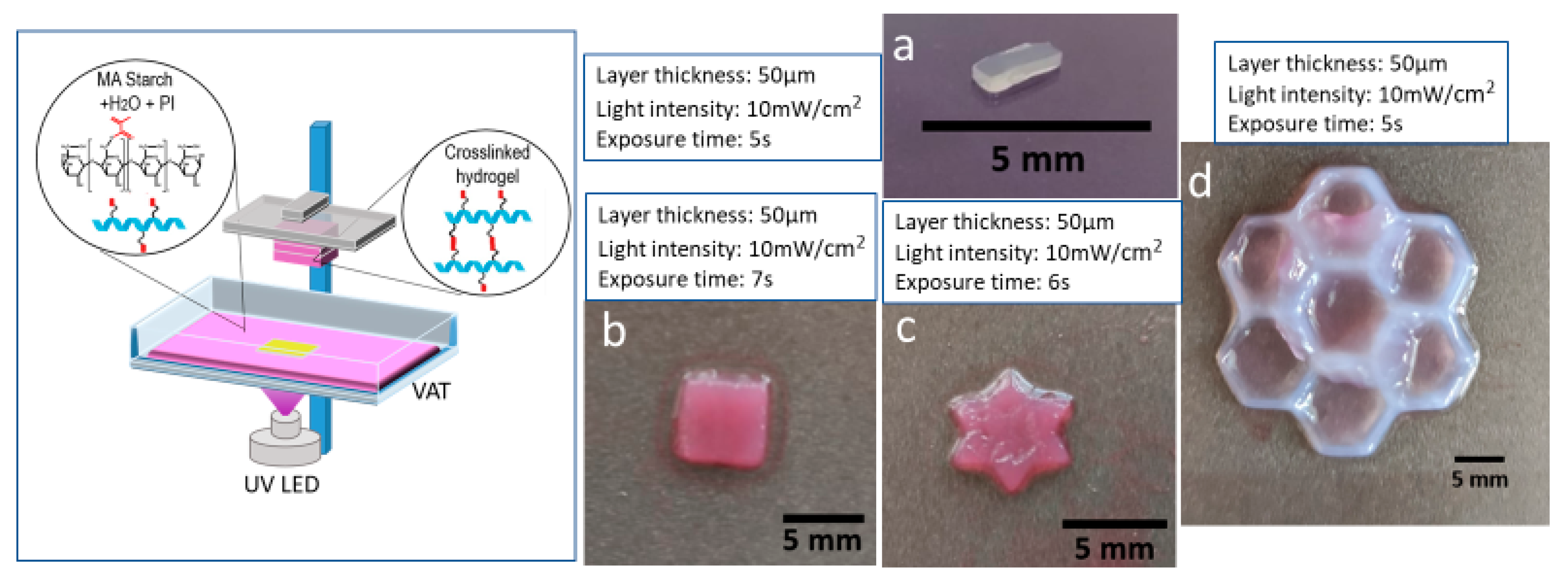 Polymers 12 01359 g007